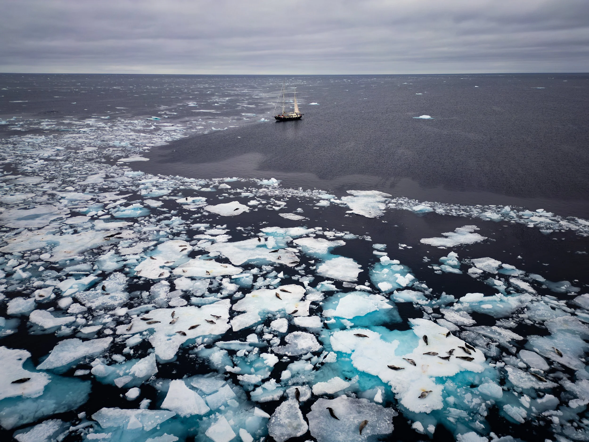 Along the Ice Edge - Svalbard til Island