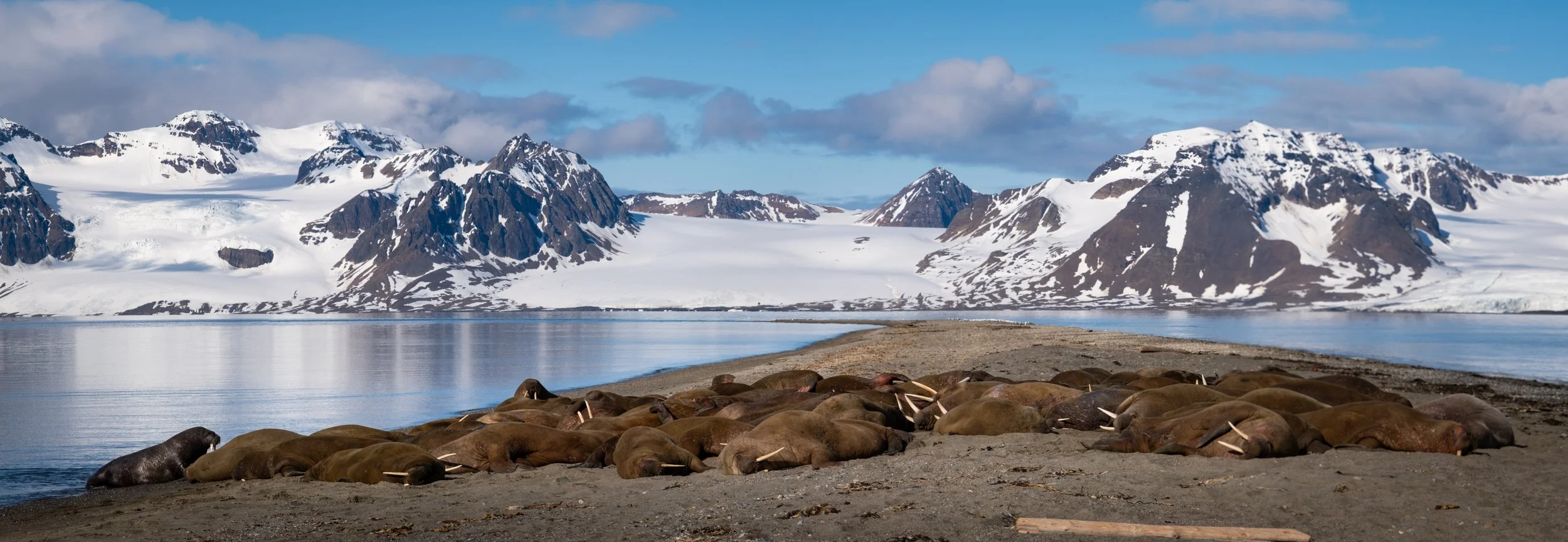 AlongTheIceEdge-43.jpg