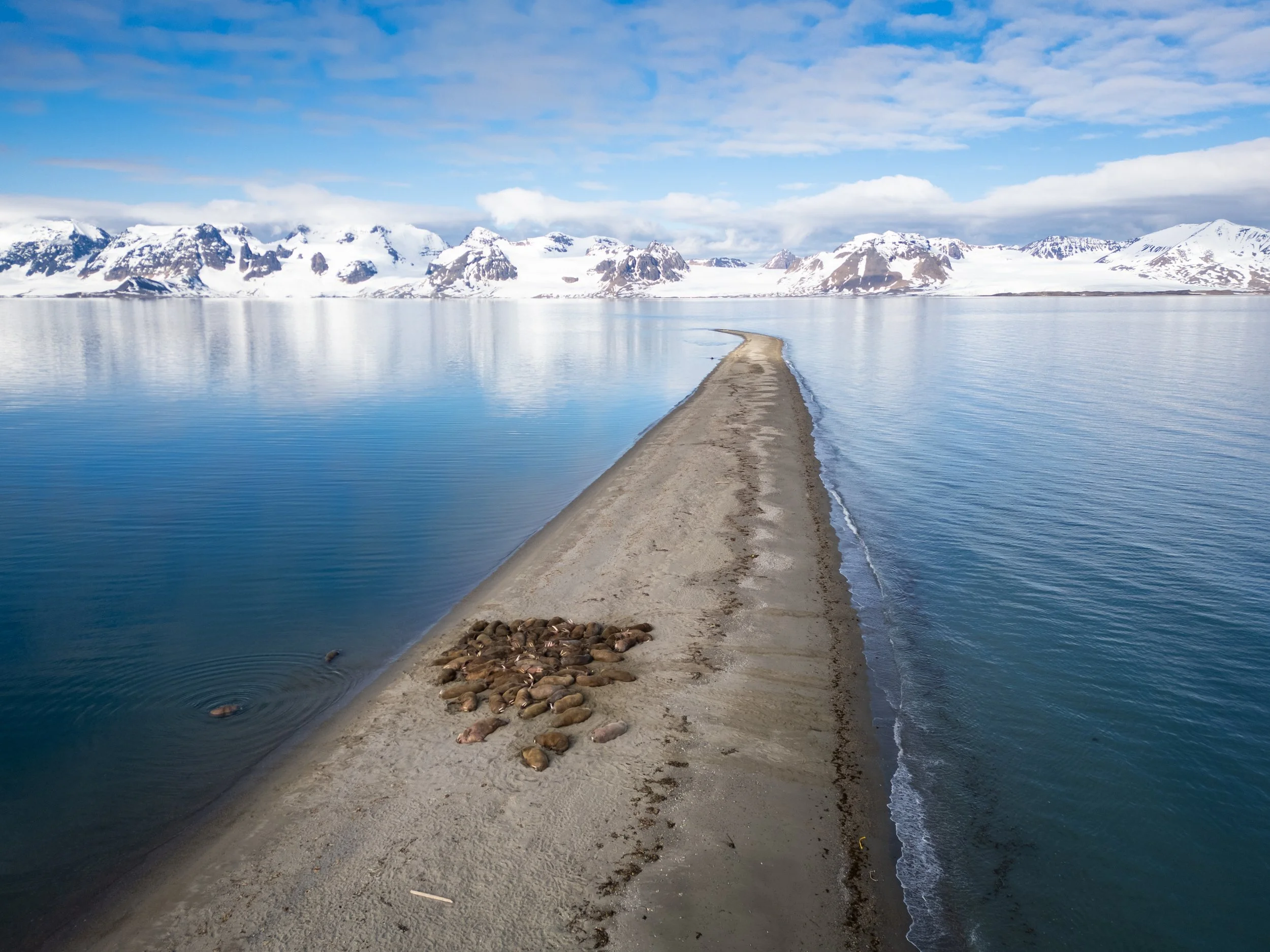 AlongTheIceEdge-30.jpg