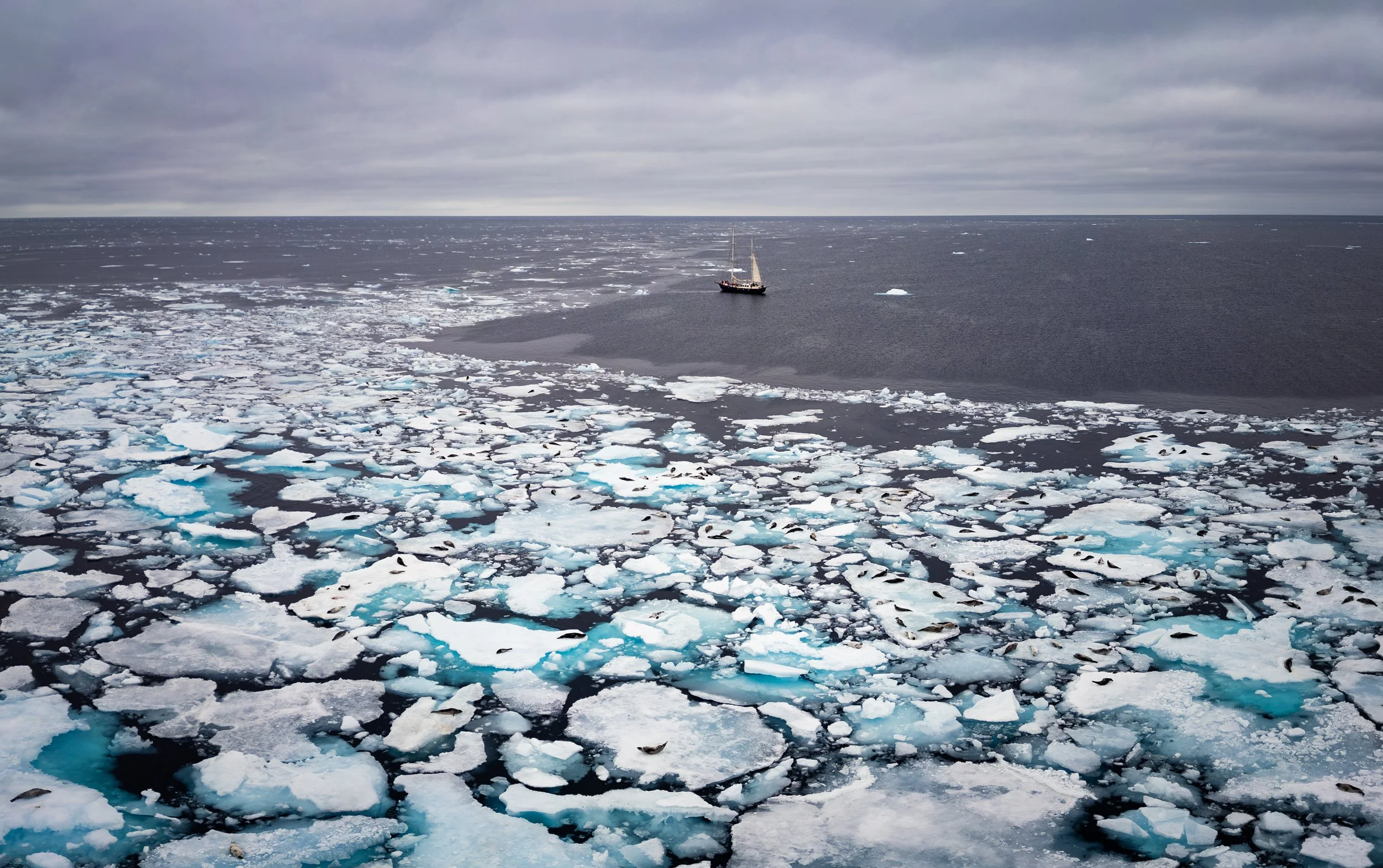 AlongTheIceEdge-57.jpg