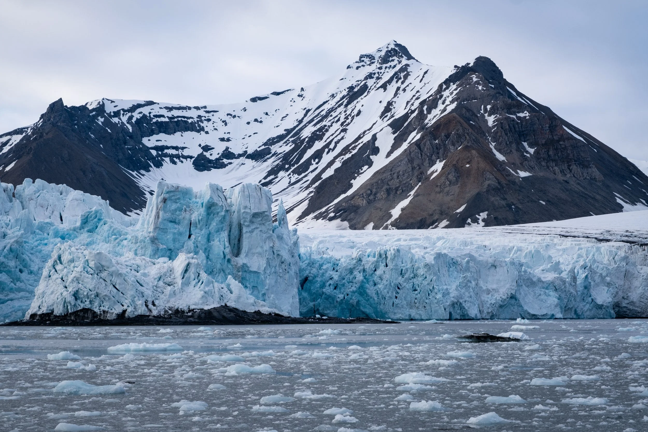 AlongTheIceEdge-21.jpg