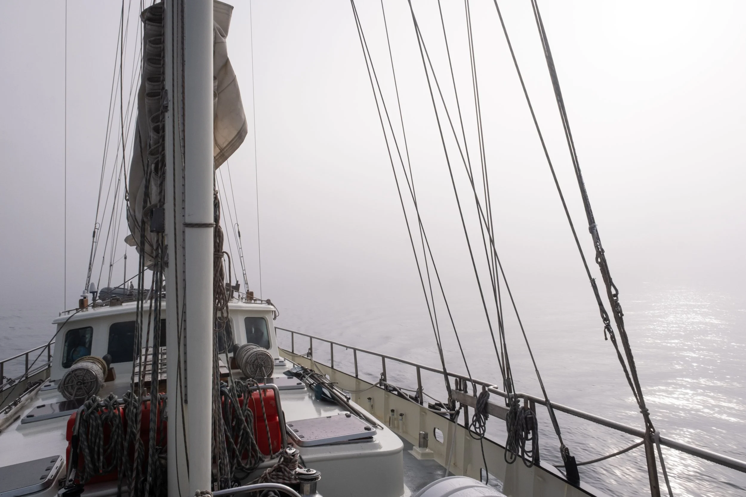 AlongTheIceEdge-70.jpg