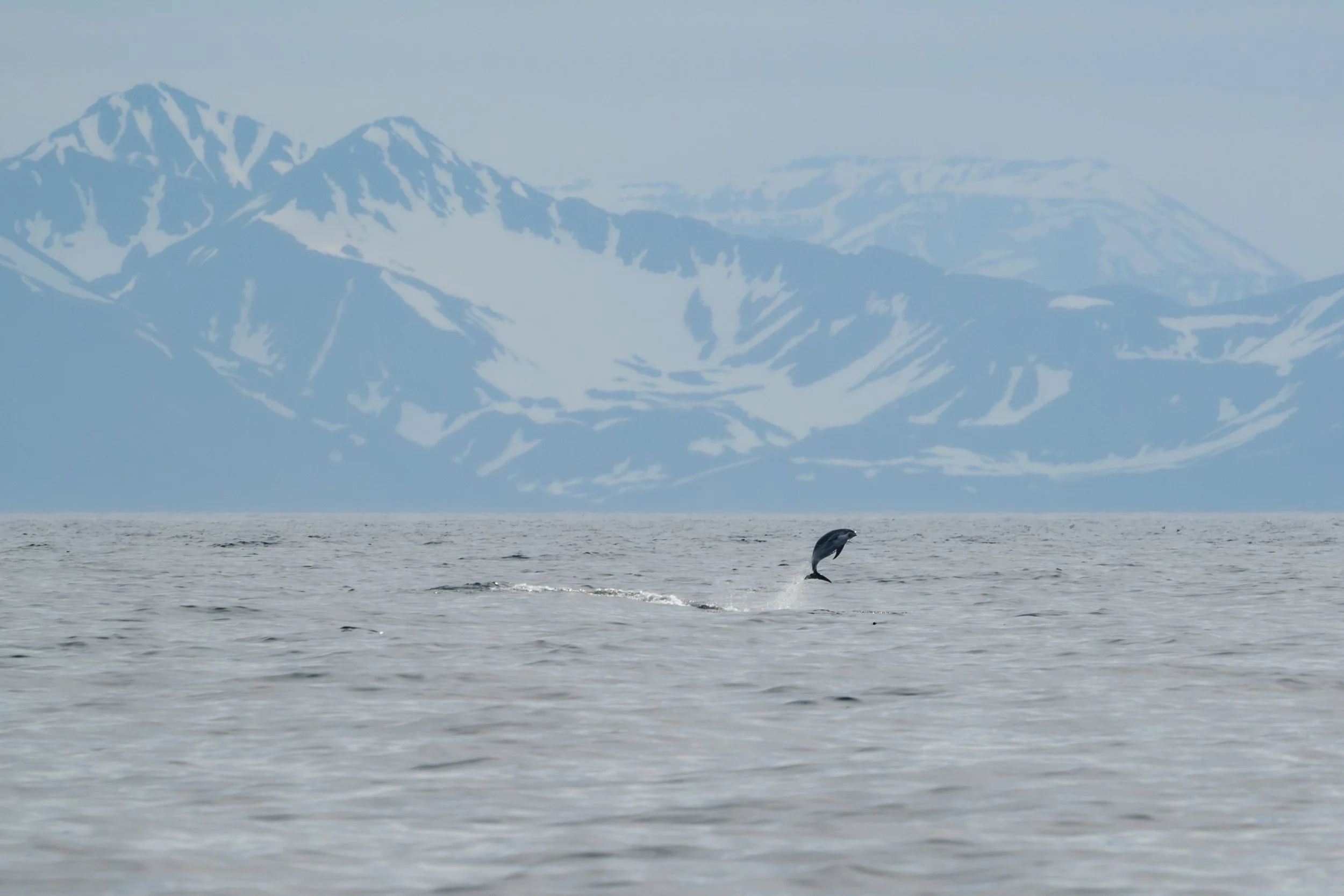 AlongTheIceEdge-81.jpg