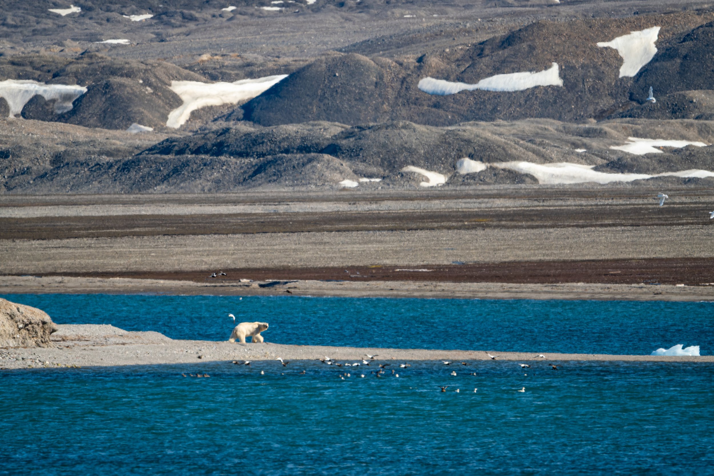 AlongTheIceEdge-50.jpg