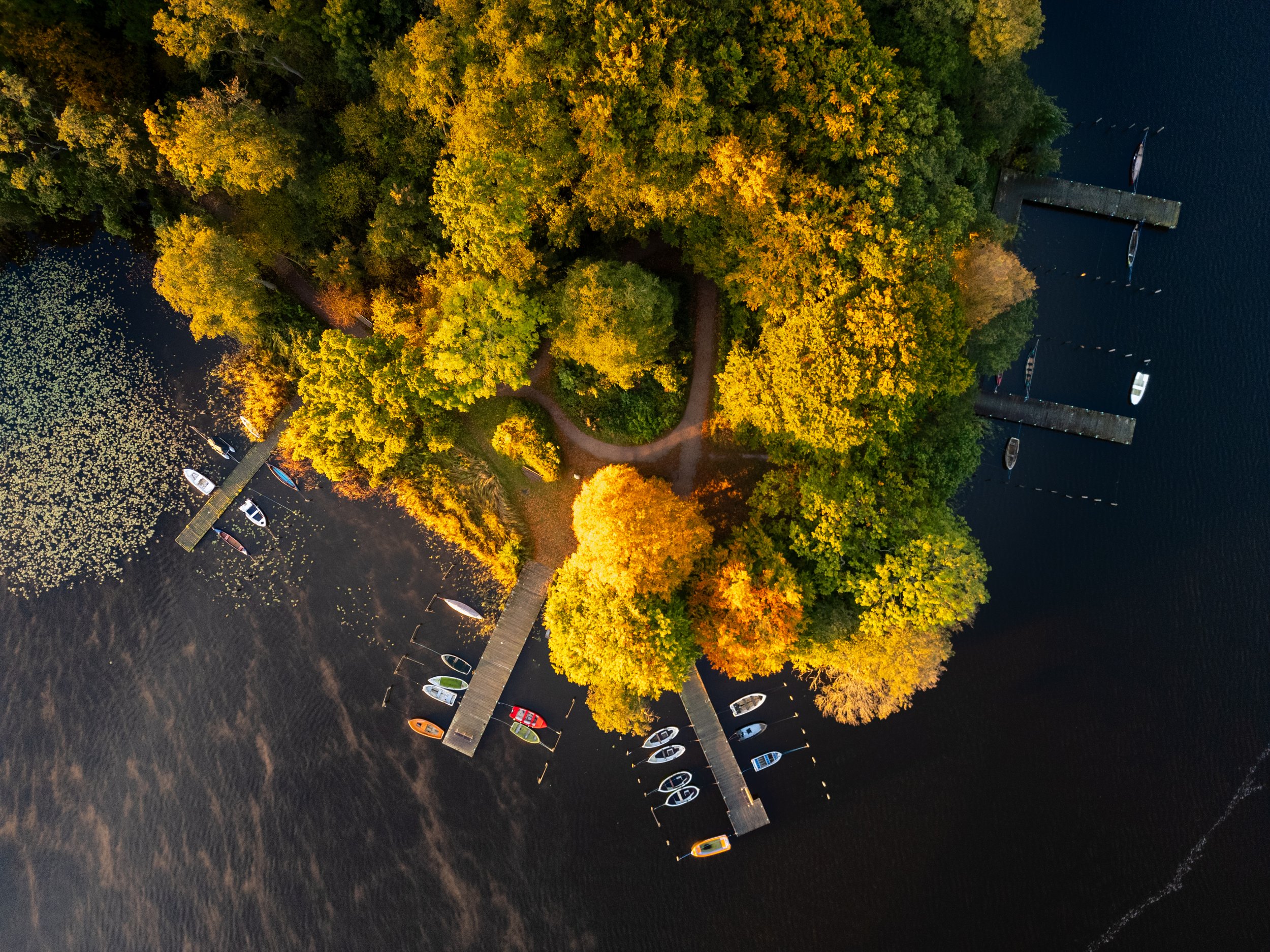 Bådebroer på Bagsværd Sø. Dronefoto. Efterårsfarver. 