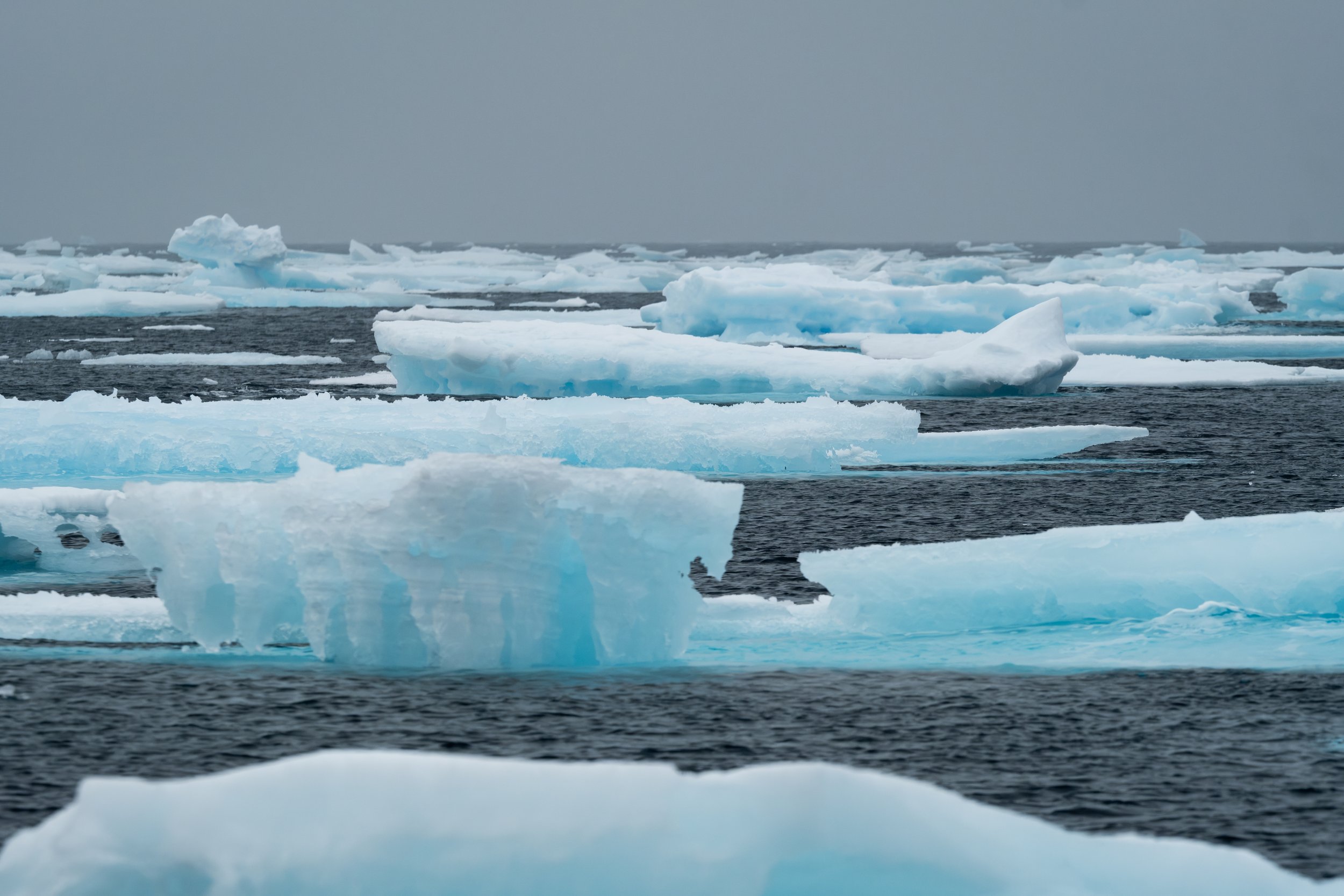 AlongTheIceEdge-69.jpg