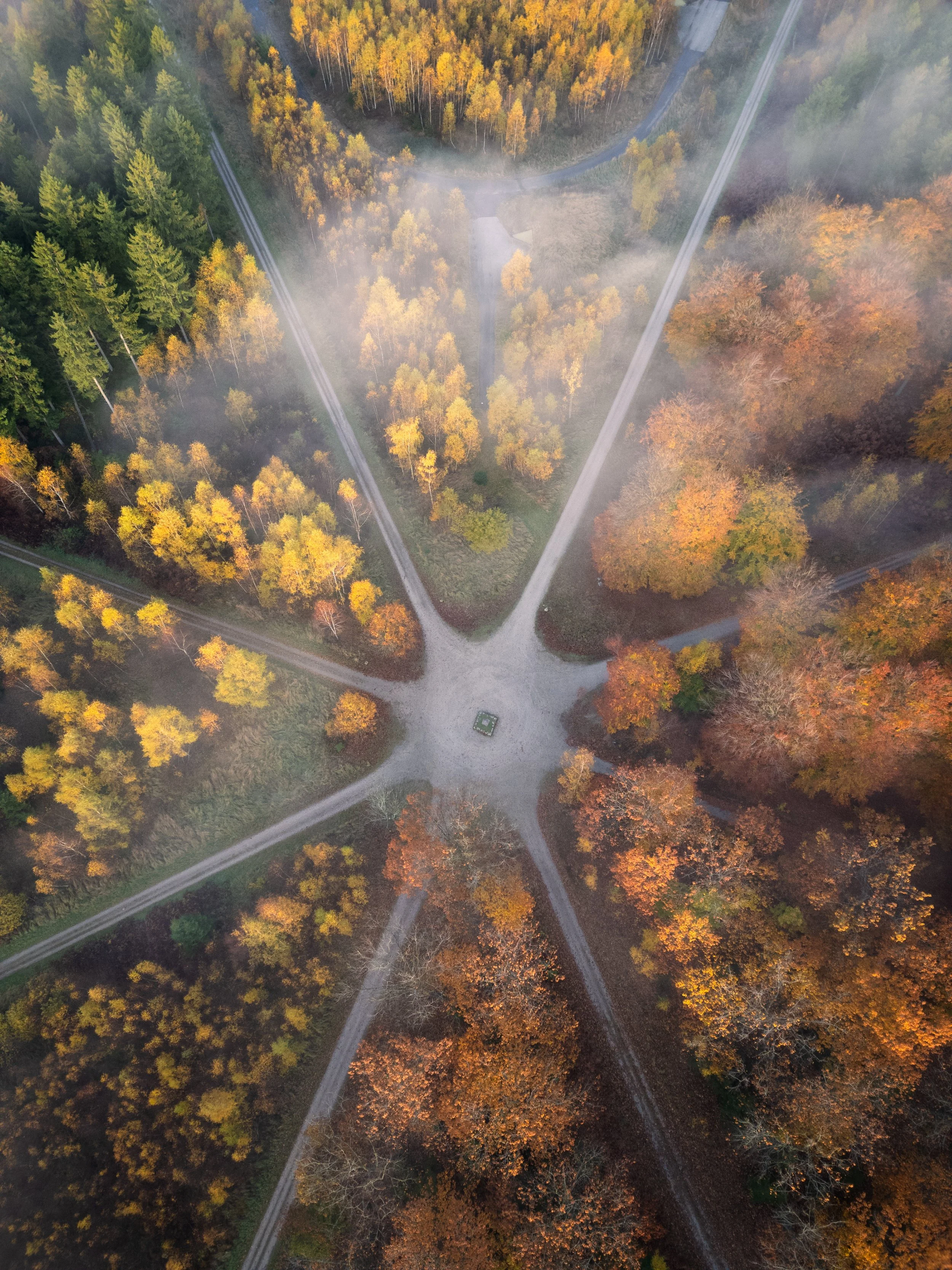 Atmosfærisk efterårsmorgen i Store Dyrehave. Parforcelandskab. Dronefoto