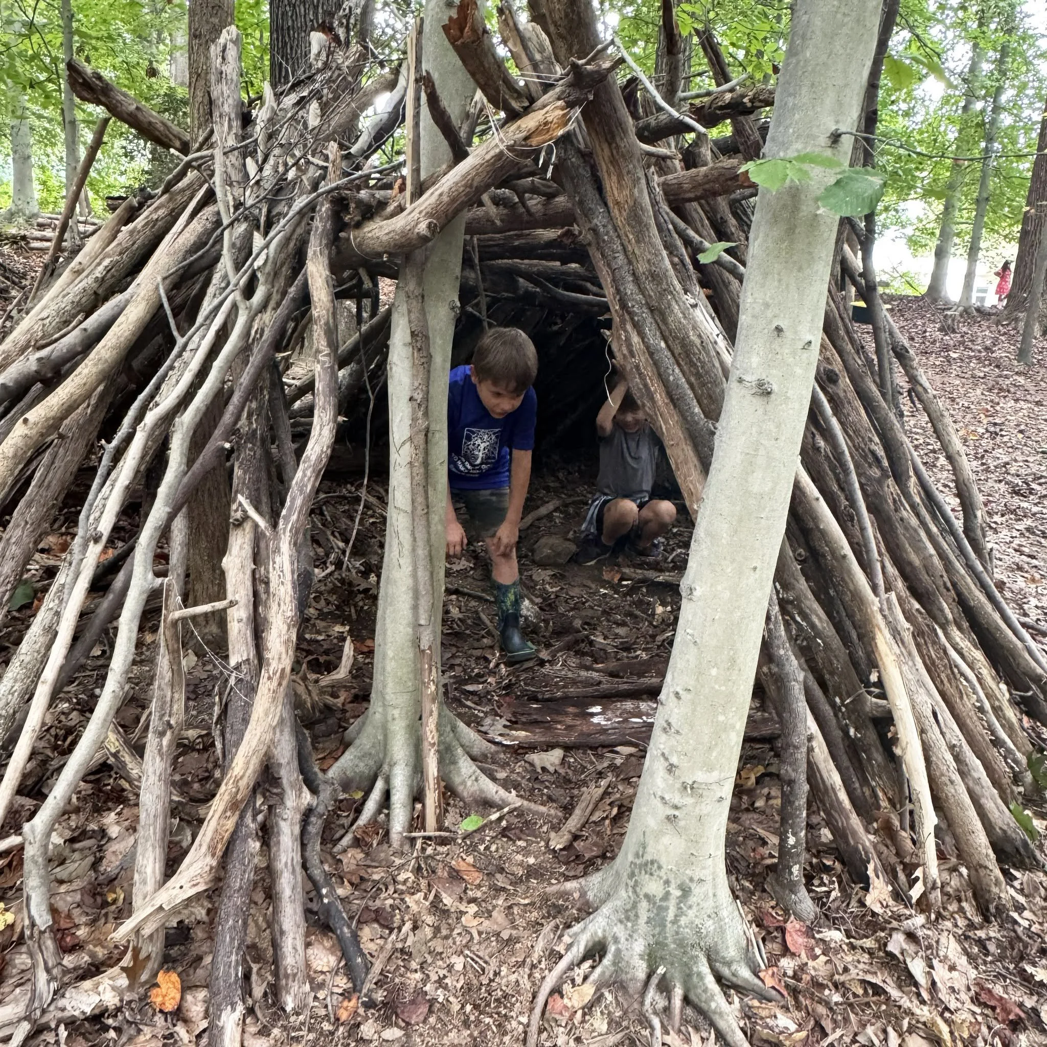 Children building a shelter using sticks and branches in a dense forest.