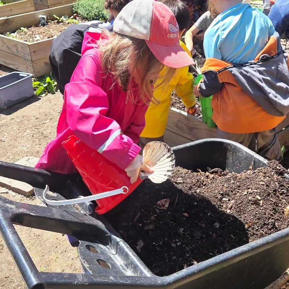 Child wearing a pink raincoat and a baseball cap plants a seed into soil in a garden bed, with several other children around.