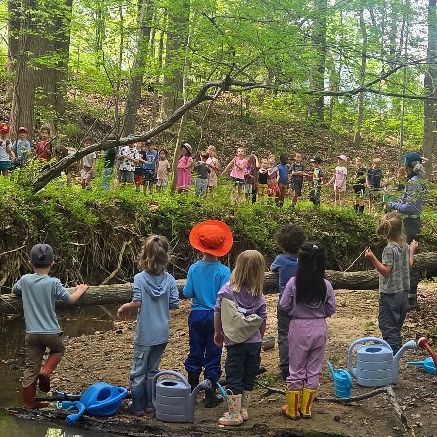 Group of children in a forest, some standing on the ground near a small creek, others on the opposite side of the creek, observing the scene. The children are dressed casually, some wearing rain boots and hats. There are watering cans and small tools on the ground near the creek.