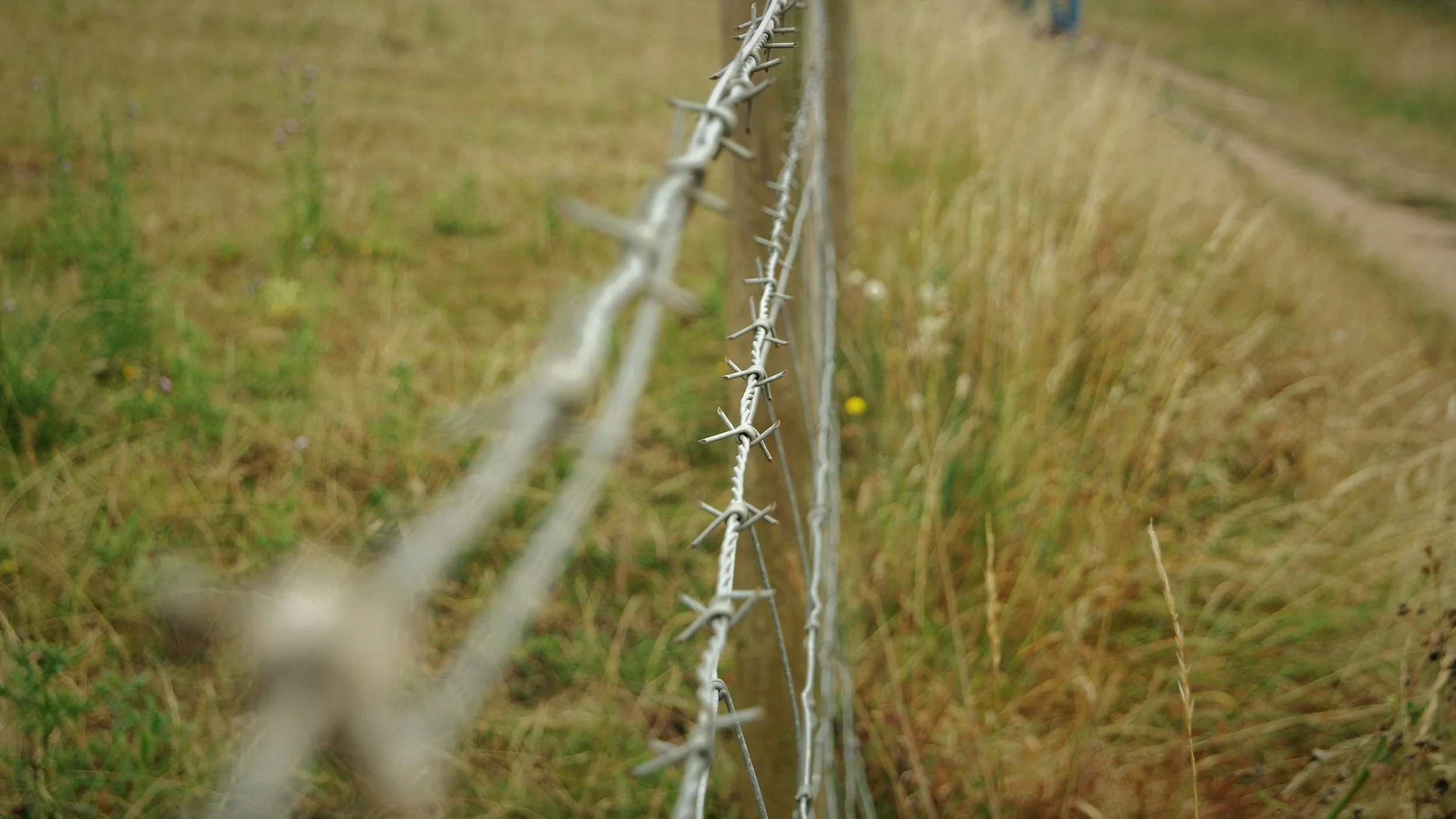 Custom Fencing Back Forty Industries