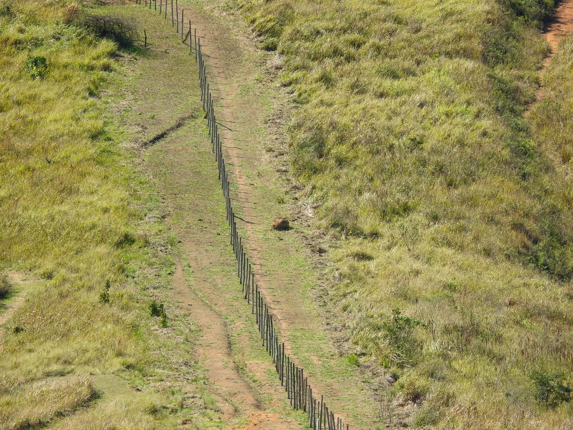 Farm Fence Line Clearing