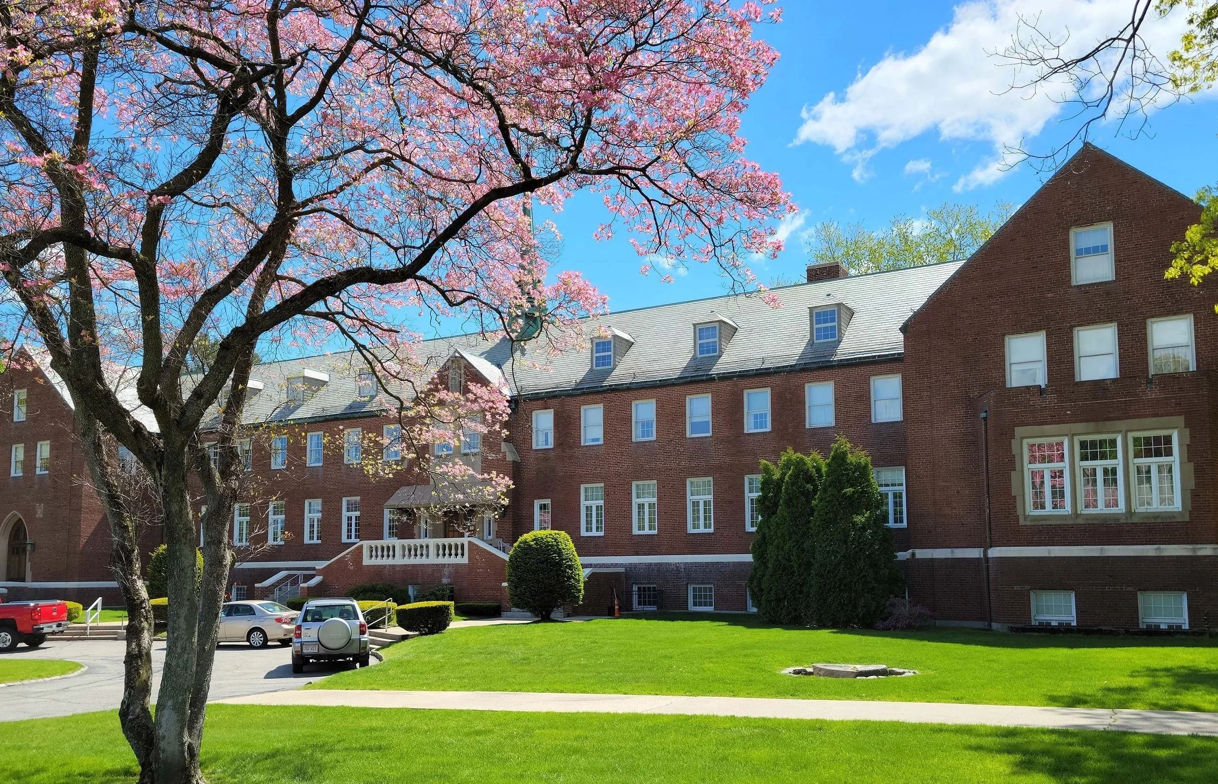 A brick building with multiple windows under a clear blue sky, framed by a tree with pink blossoms and other green trees, a well-maintained lawn, parked cars, and a sidewalk.