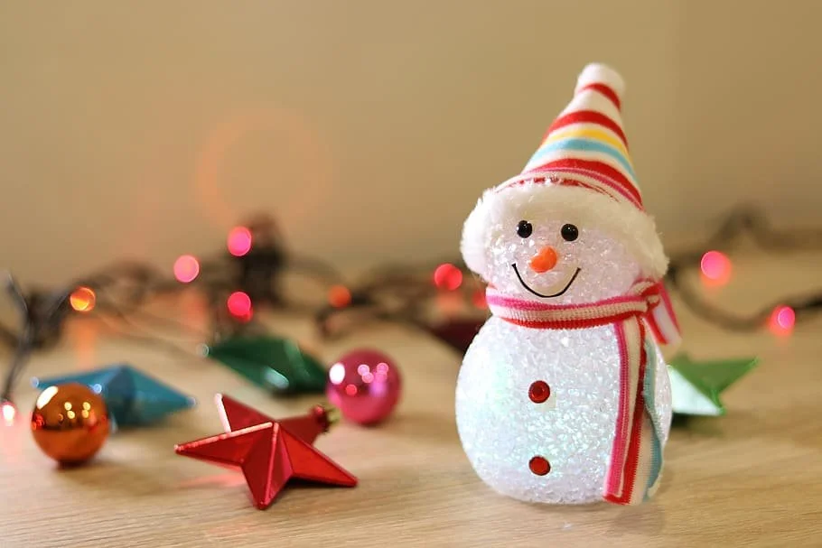 Members-Only Holiday Social