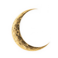 Cosmic Dust Astrology
