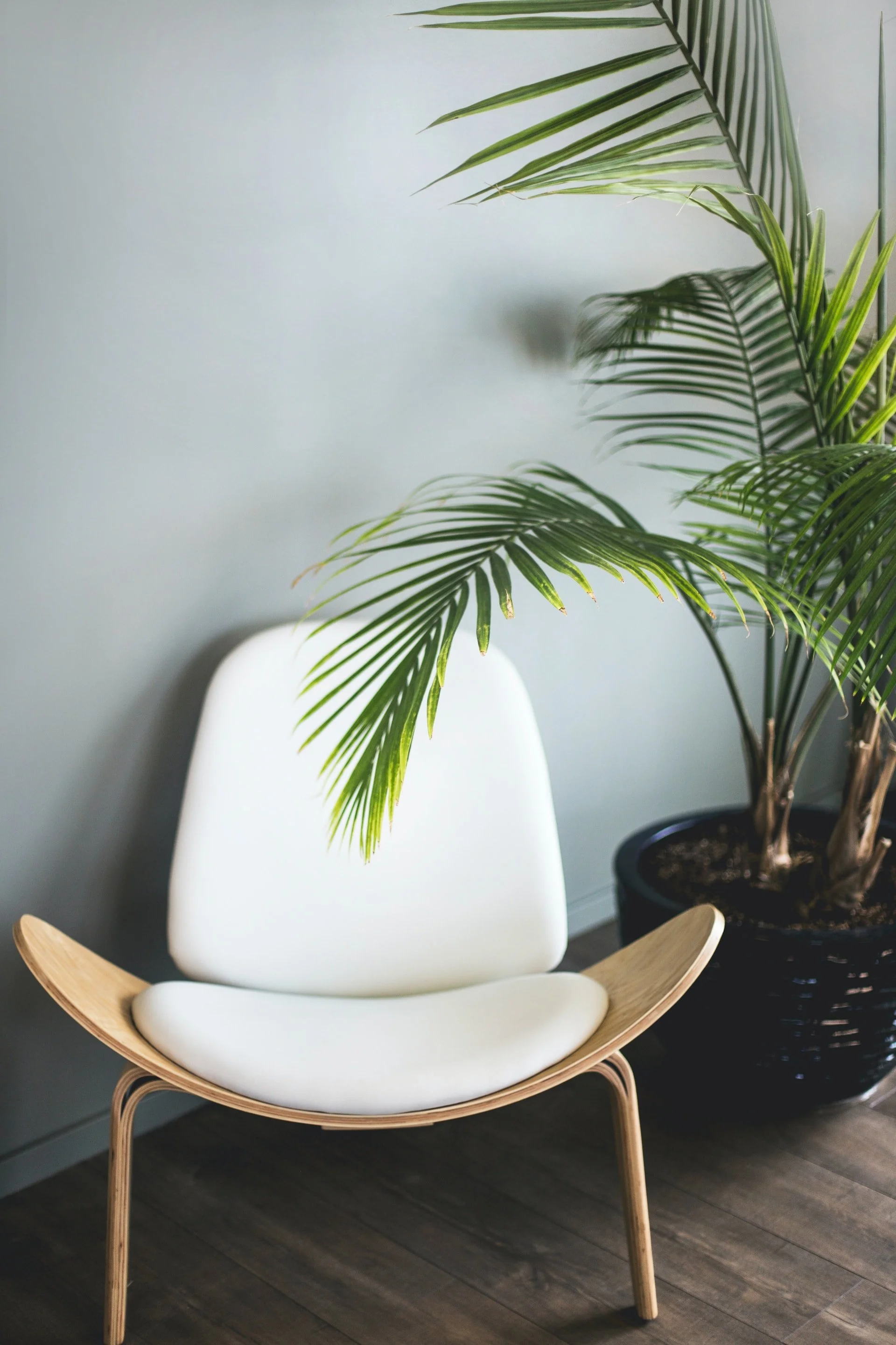 Screen Room Benefits and Considerations
