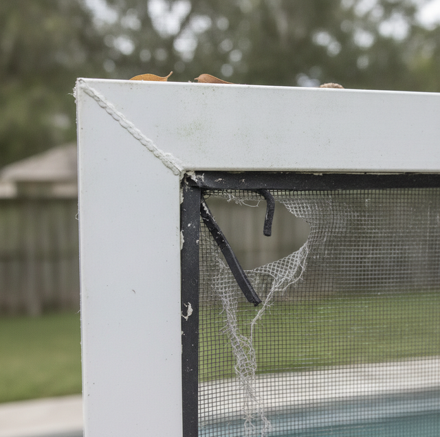 How Long Does a Rescreened Pool Enclosure Last?