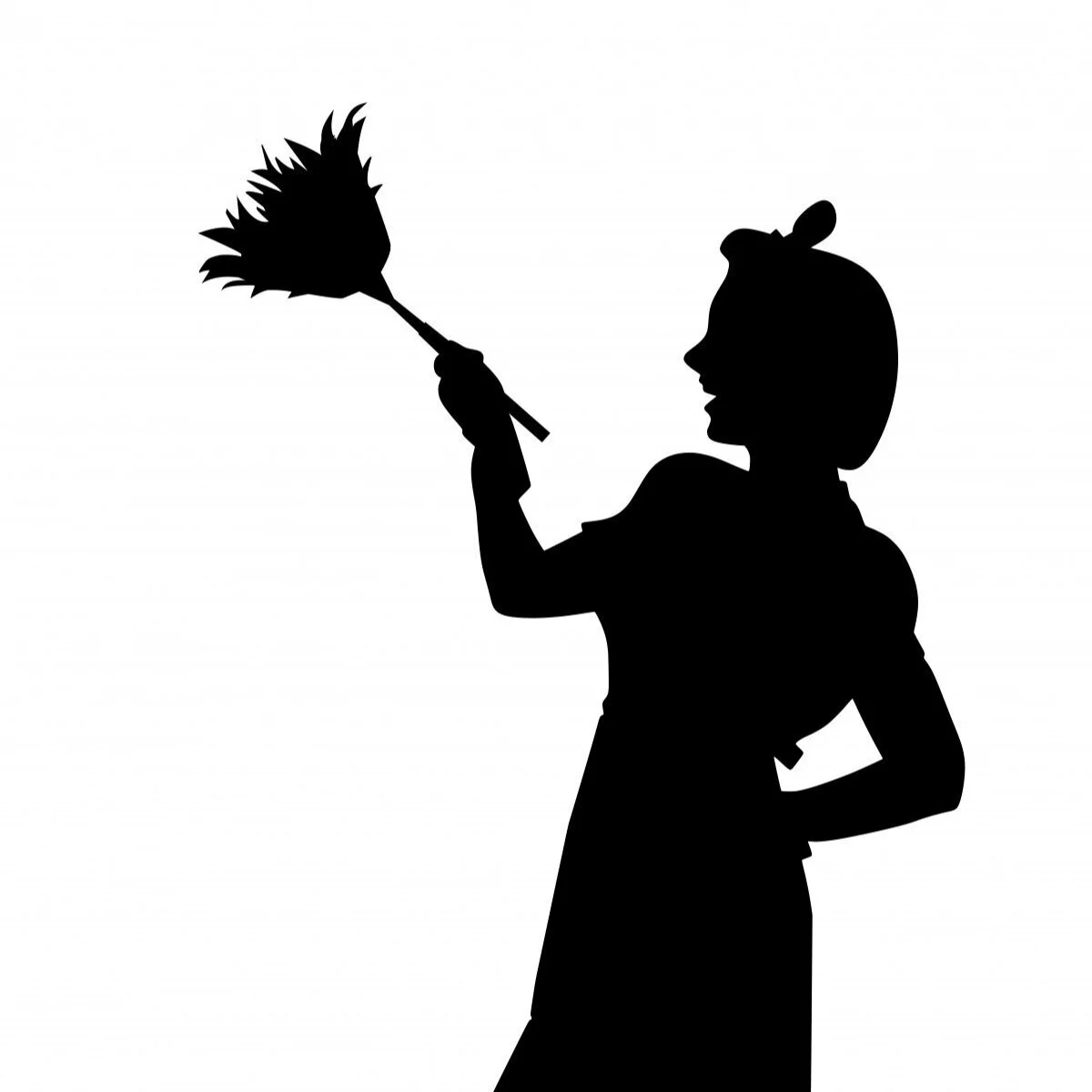 Lanai Cleaning Tips