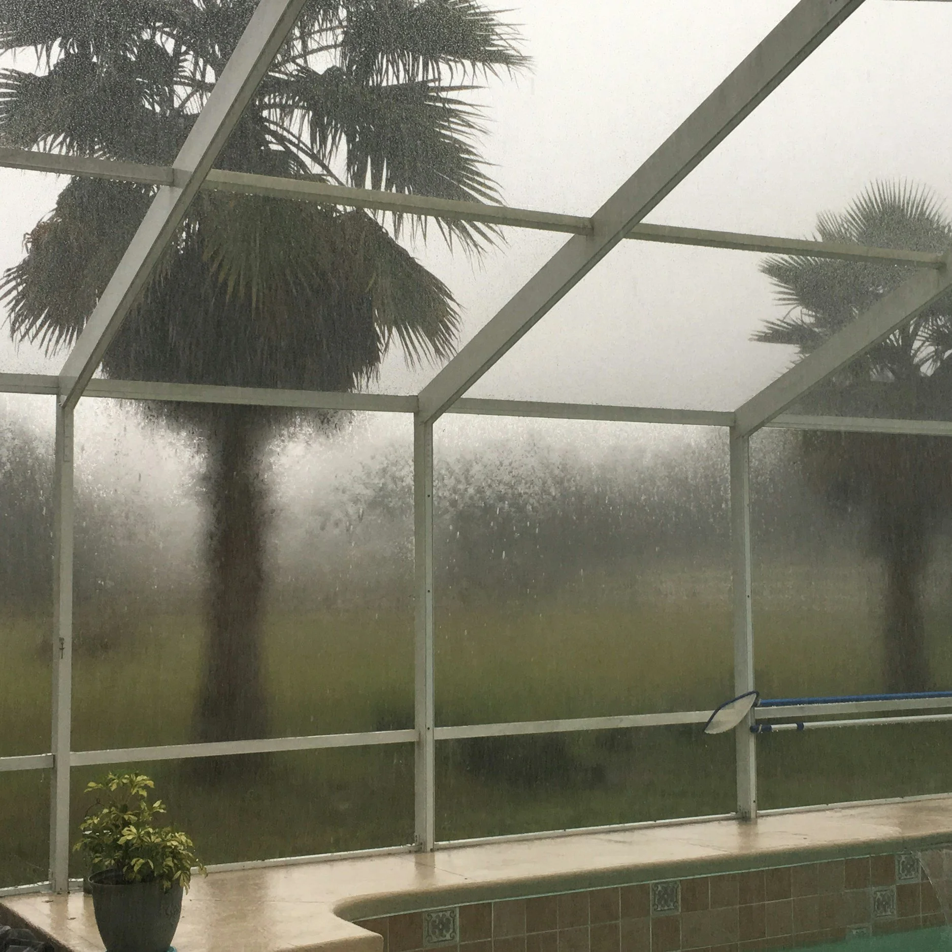 Pool Screen Enclosures: Why They're a Must-Have for Every Backyard Oasis