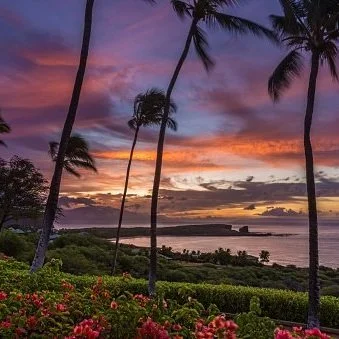 Reasons to Rescreen Rather Than Repair Your Lanai