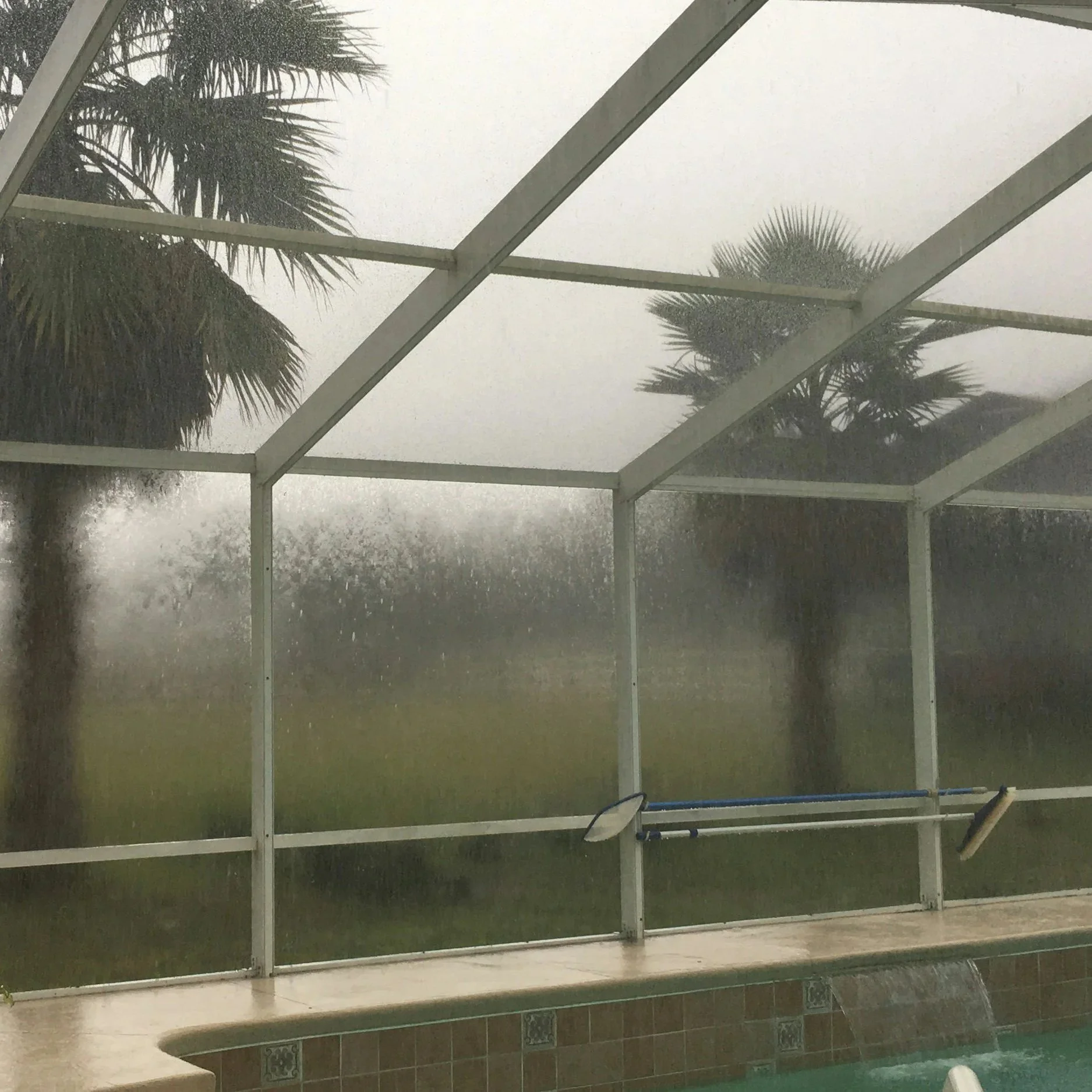 Stronger, Cleaner, Better: The Pool Enclosure That Does It All