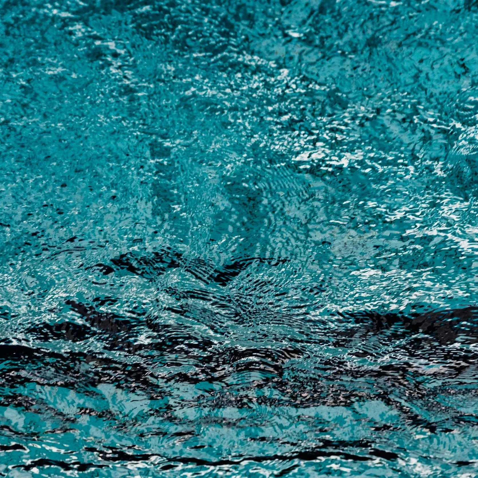 Transforming the Pool Area with a Custom Screen Enclosure: Before and After