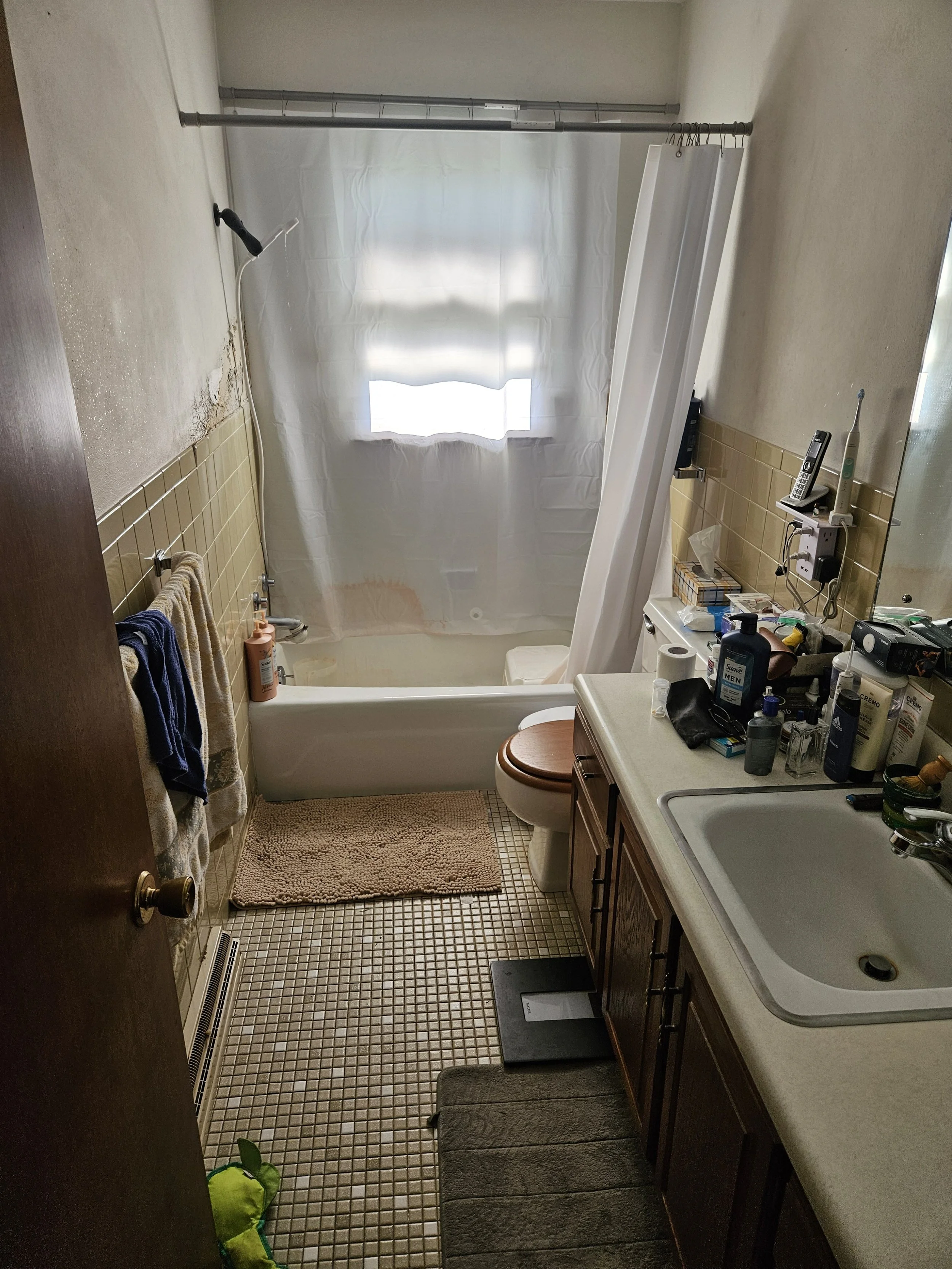Bathroom_Before 1 - Copy.jpg
