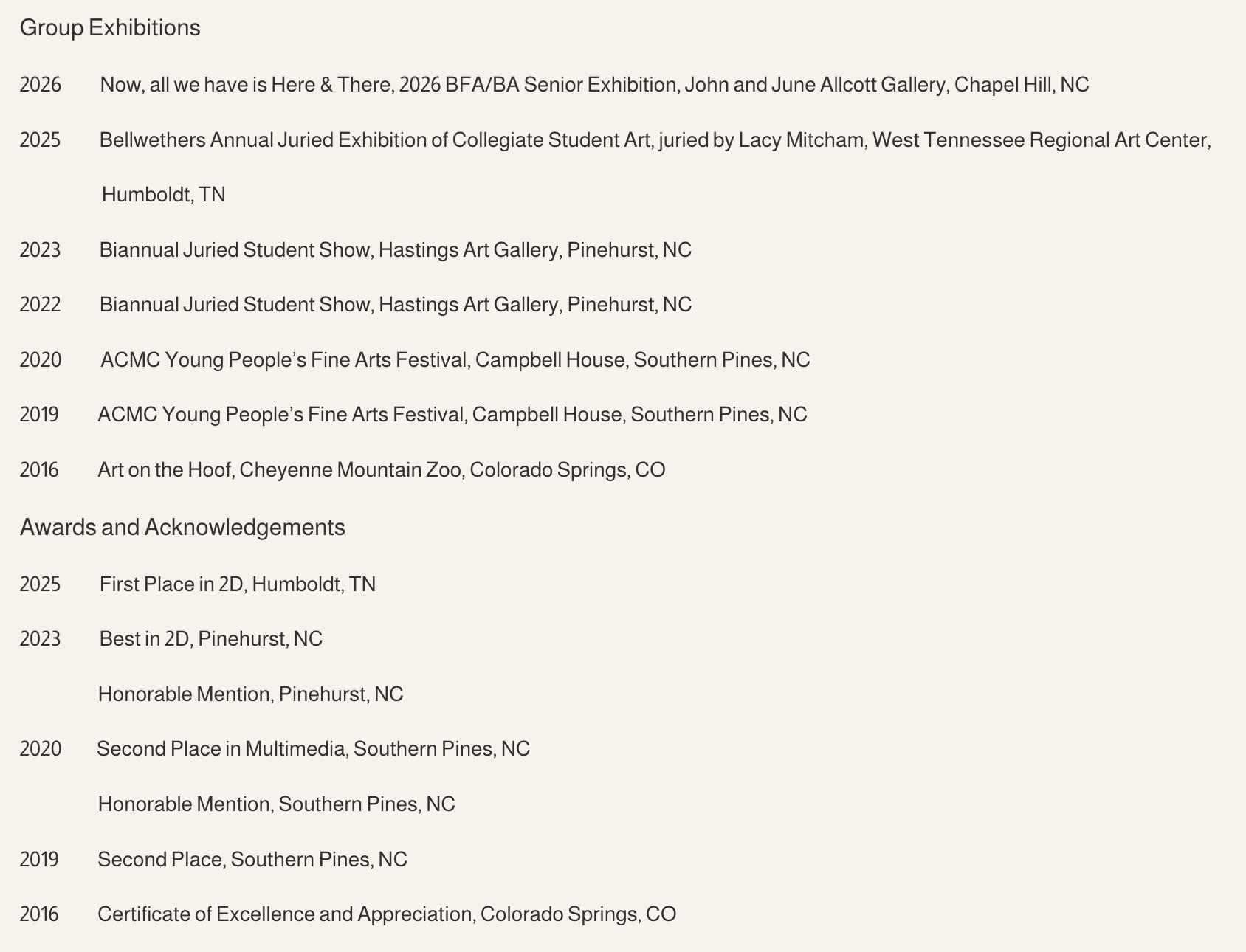 Extensive list of acknowledgements and awards for art.