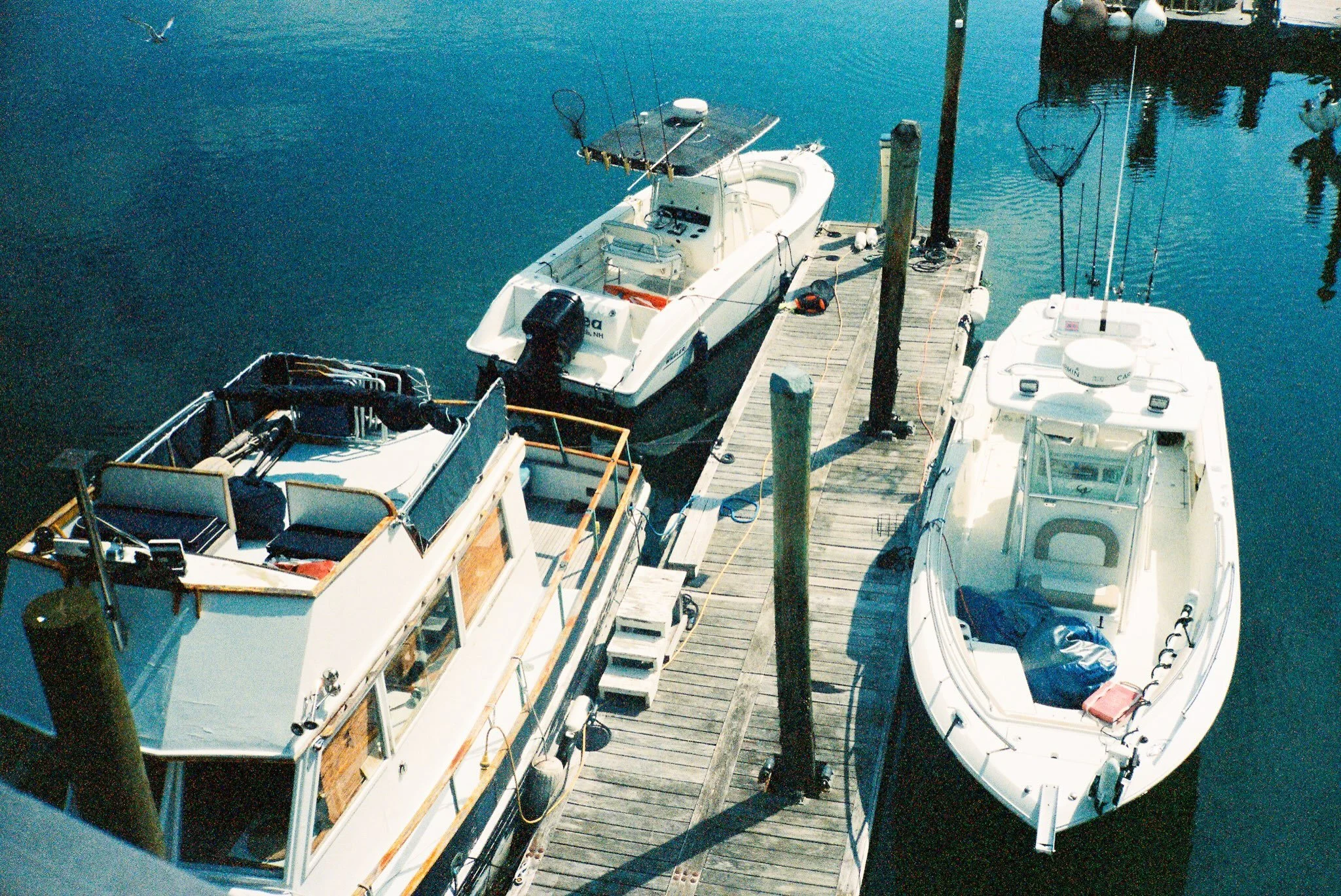 Summer 2025 | ✨Maine and New Hampshire✨ | 35mm scanned by @indiefilmlab