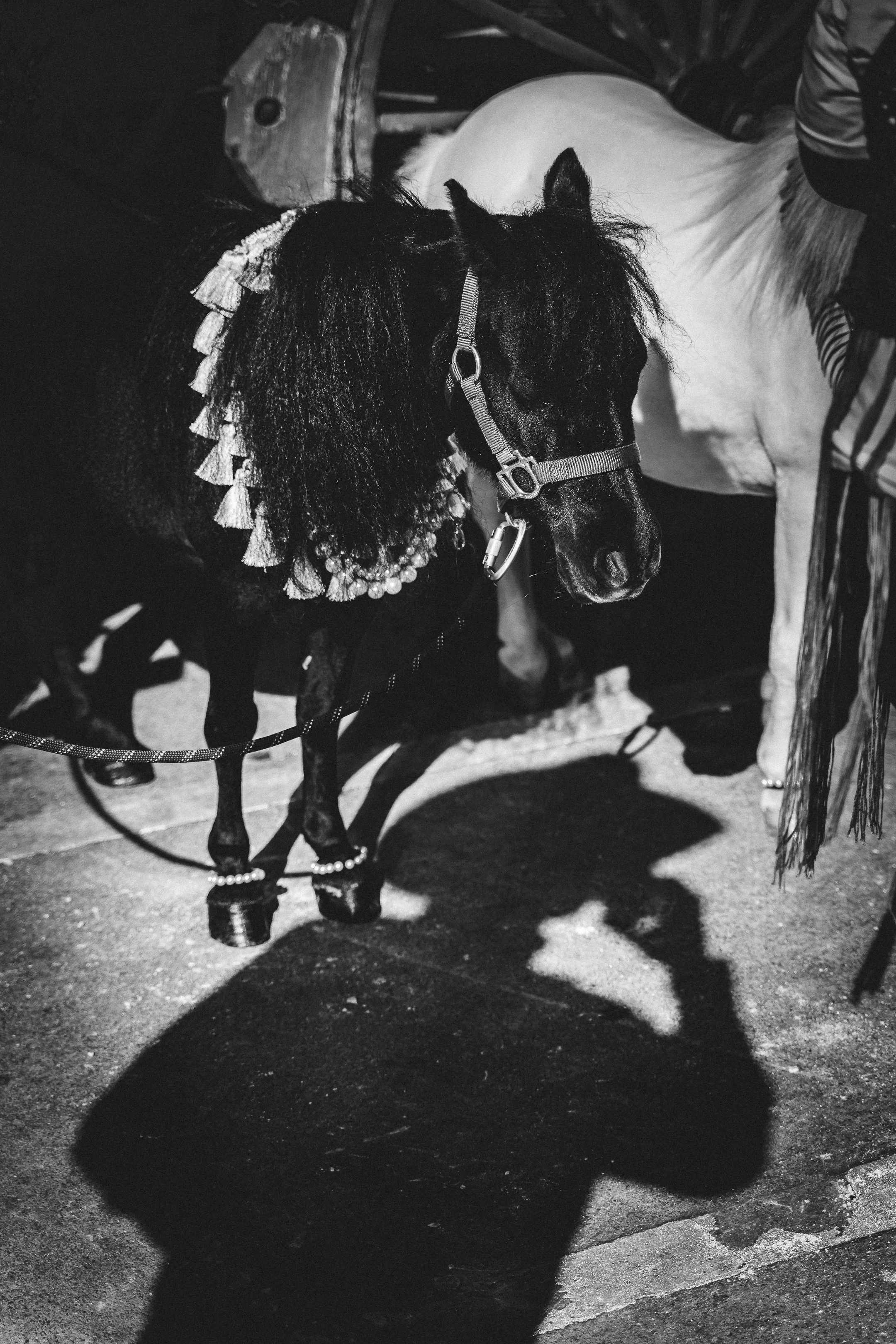 Paramount2_10MAY25_JakeRabin-34.jpg
