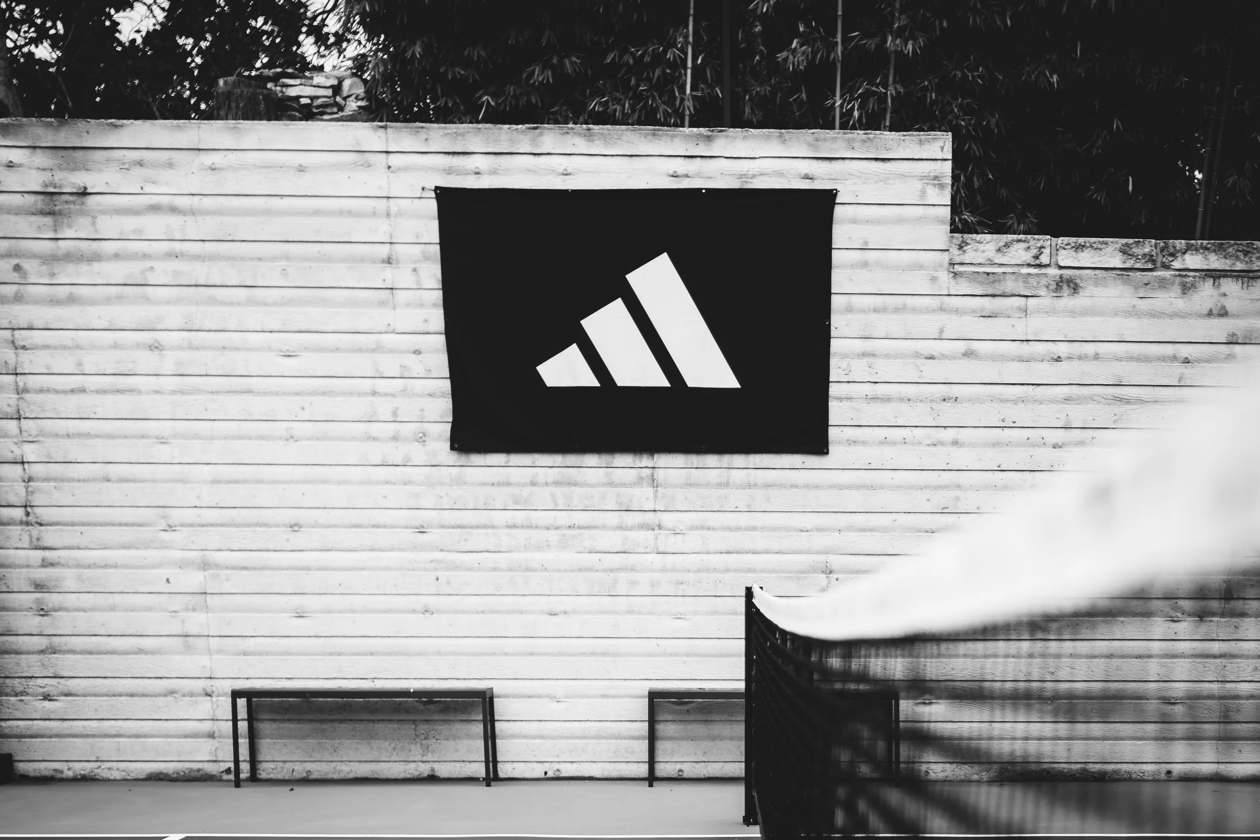 AdidasPickleballSet1_JakeRabin.jpg