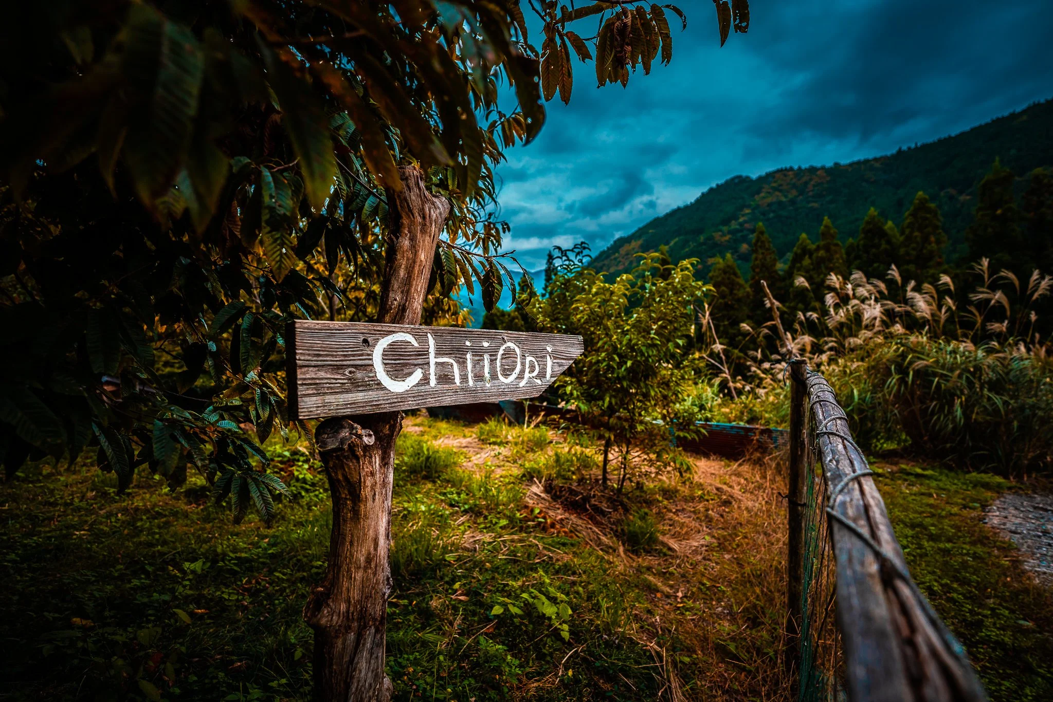 iyavalley1_20OCT19-4.jpg