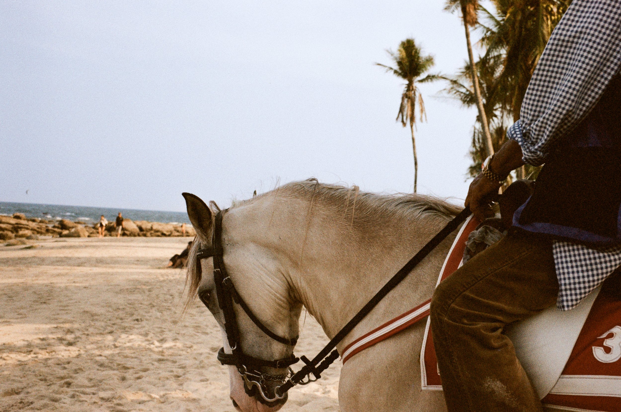 horse in the coast of Hua Hin, Thailand, photography taken on leica film 