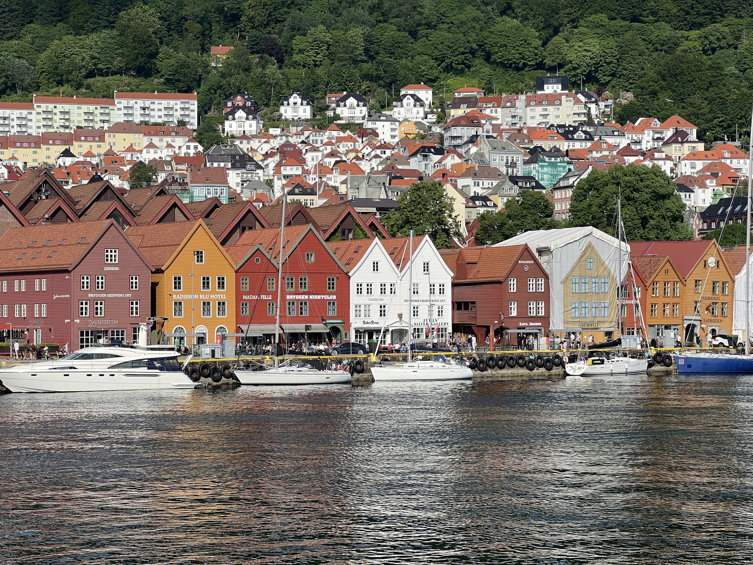 IMG_9652.jpg