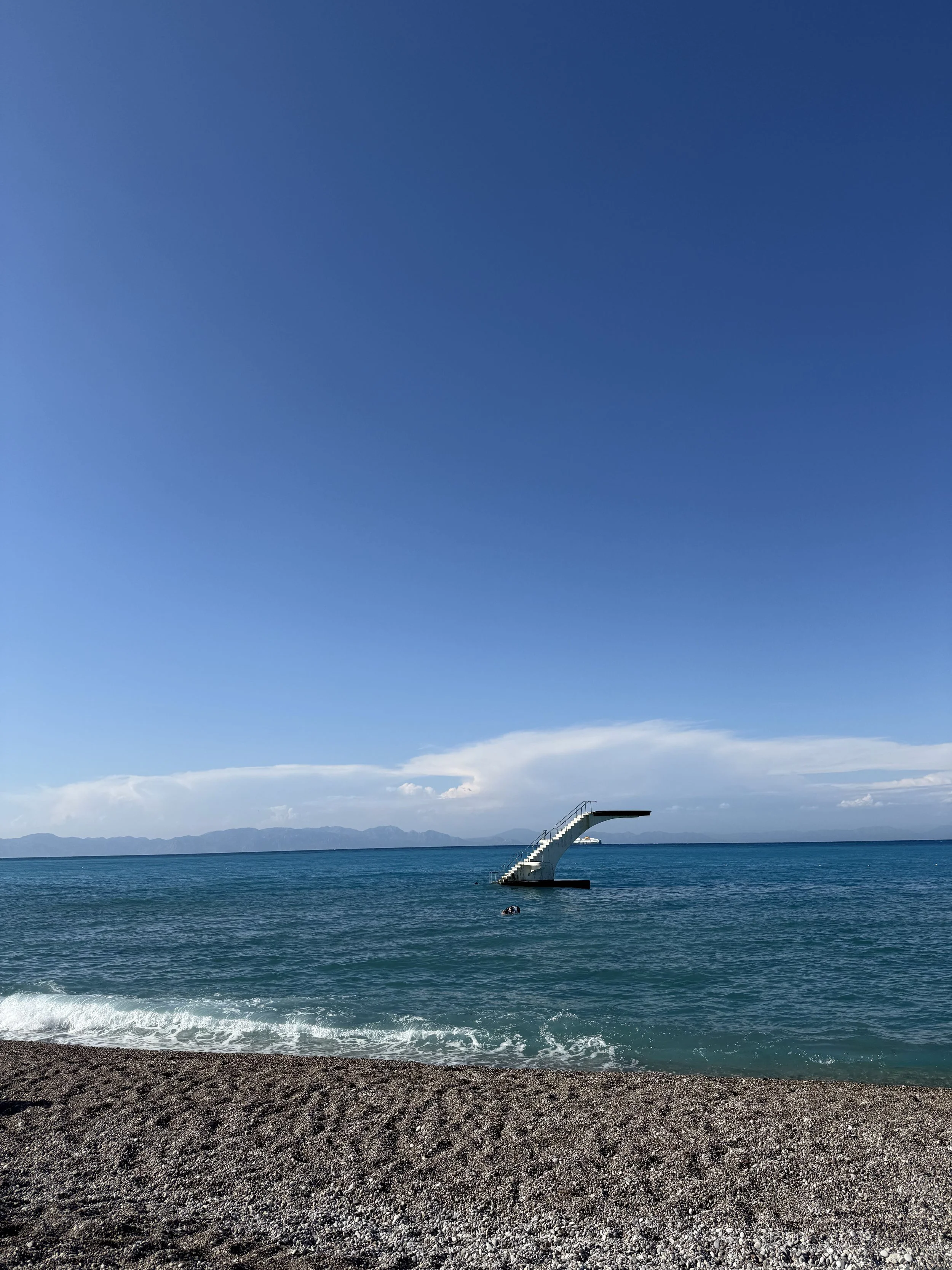 IMG_8539.jpg