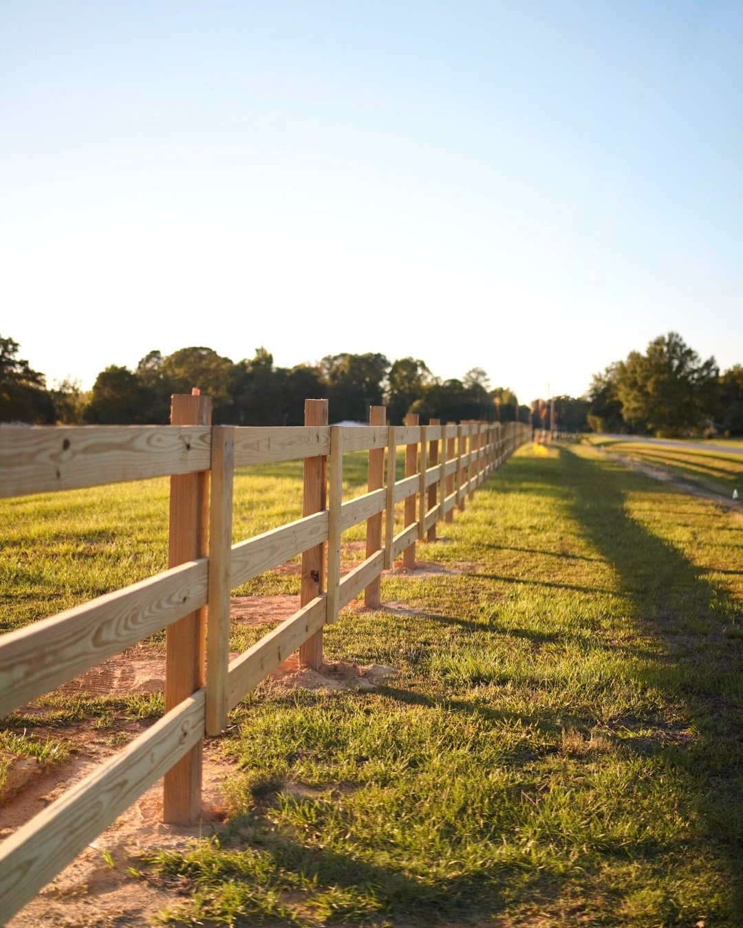 We are SO excited, the fencing is finally up! 🌾 This has been a long-awaited piece of the puzzle, and it's already made a huge difference in the overall look of the property.

Another piece of the land taking shape as this place becomes what it's me