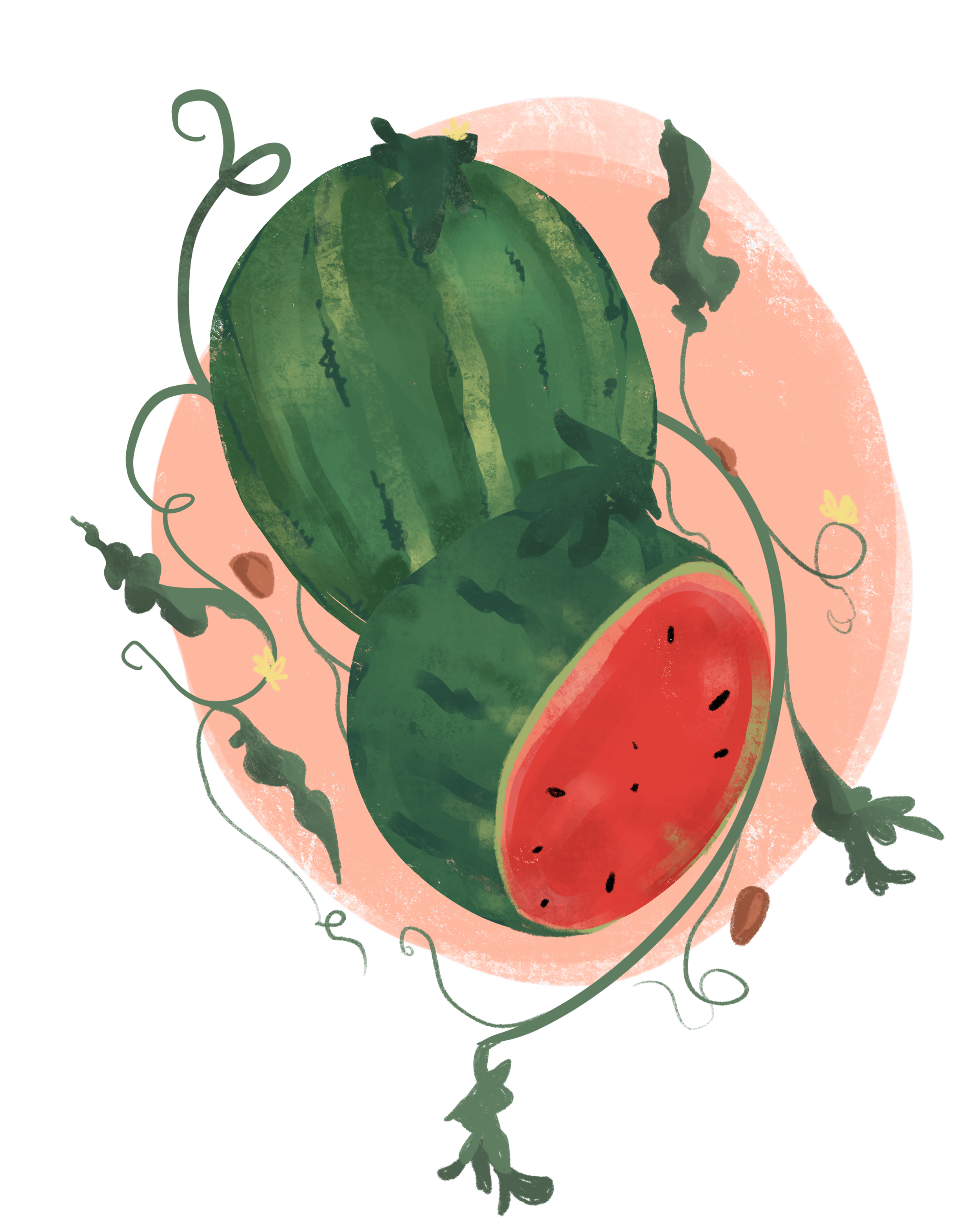 Watermelon_2 2.png