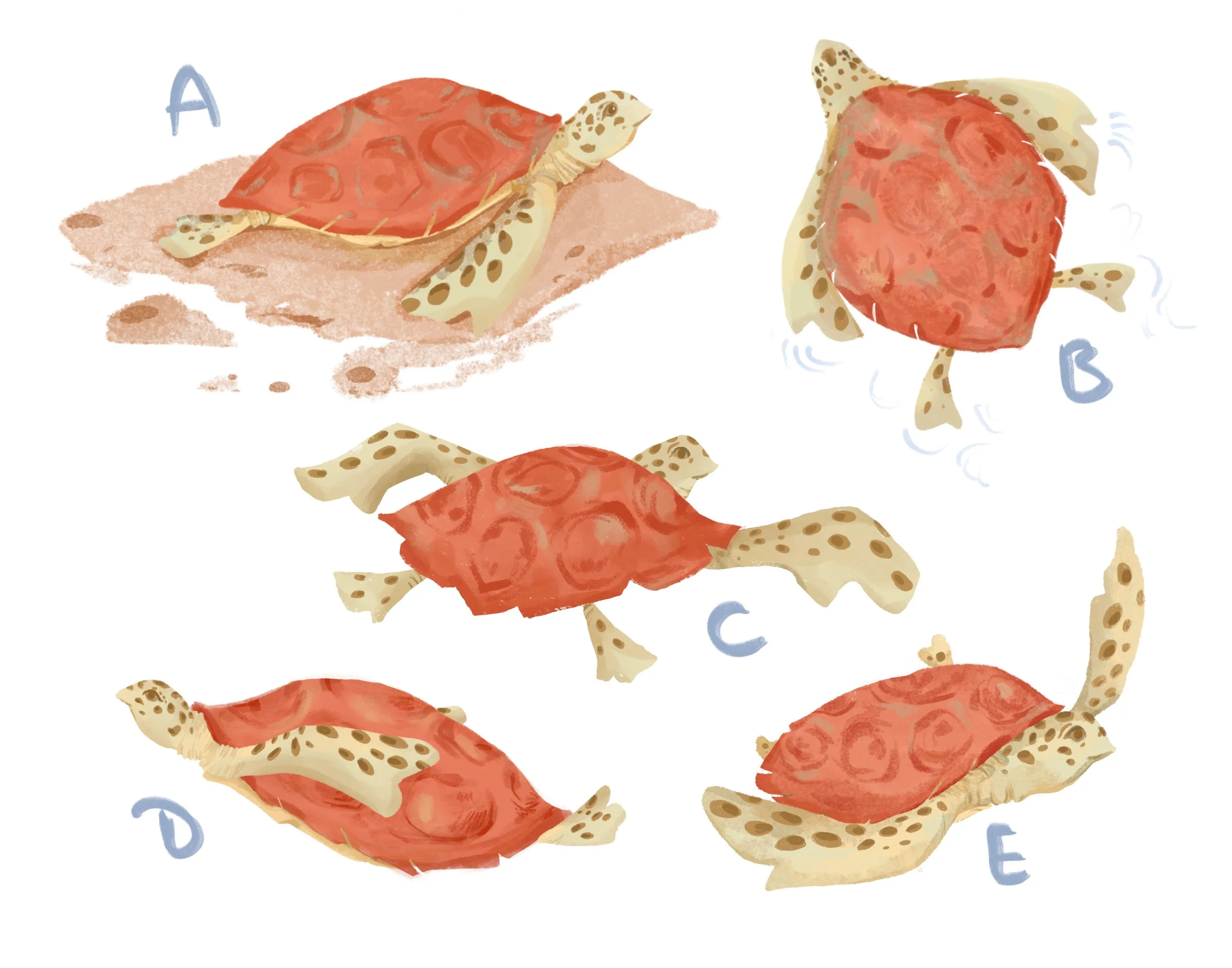 Character Design 