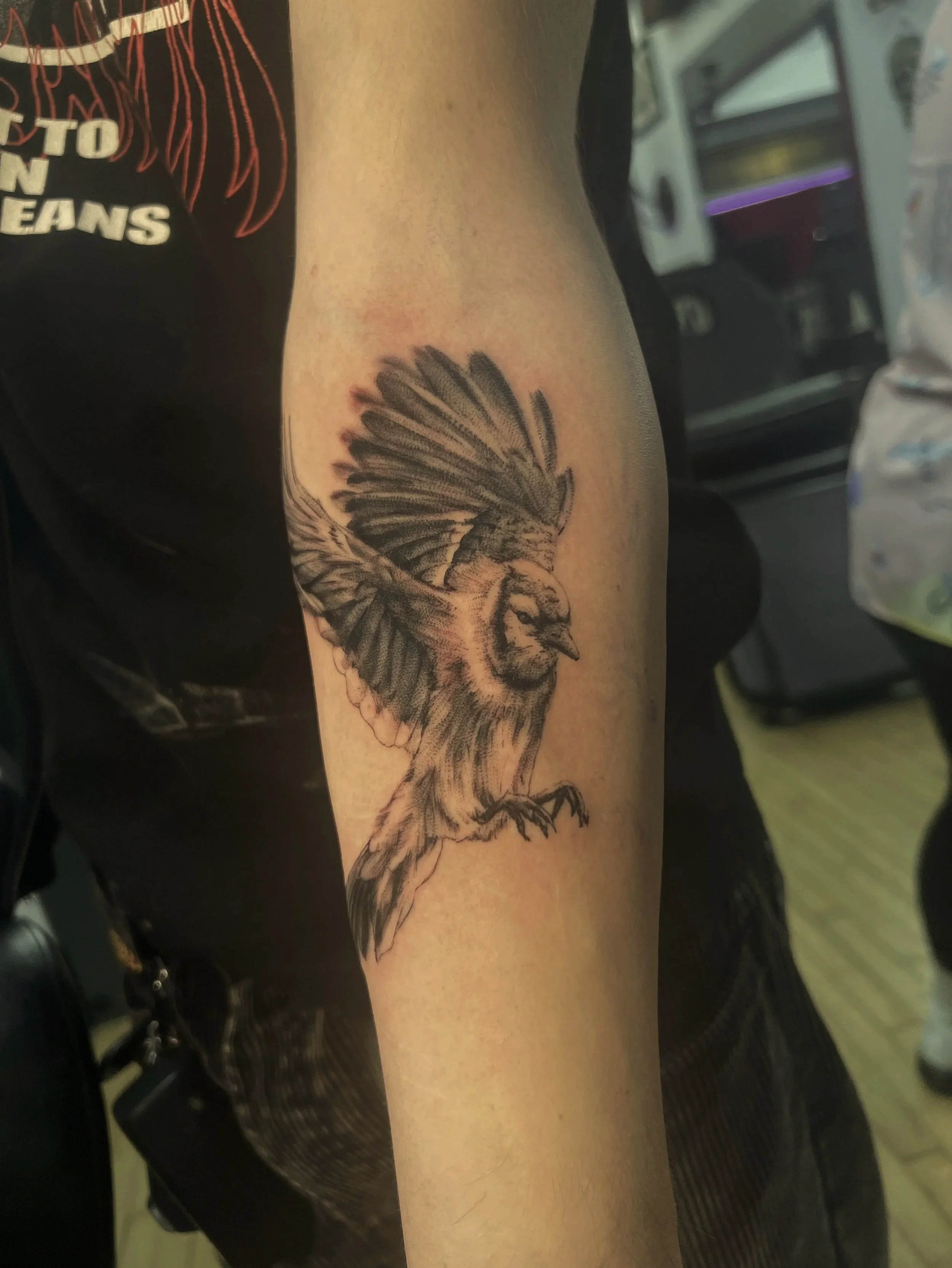 Tattoo of a bird, possibly an eagle, on a person's forearm, with detailed feathers.