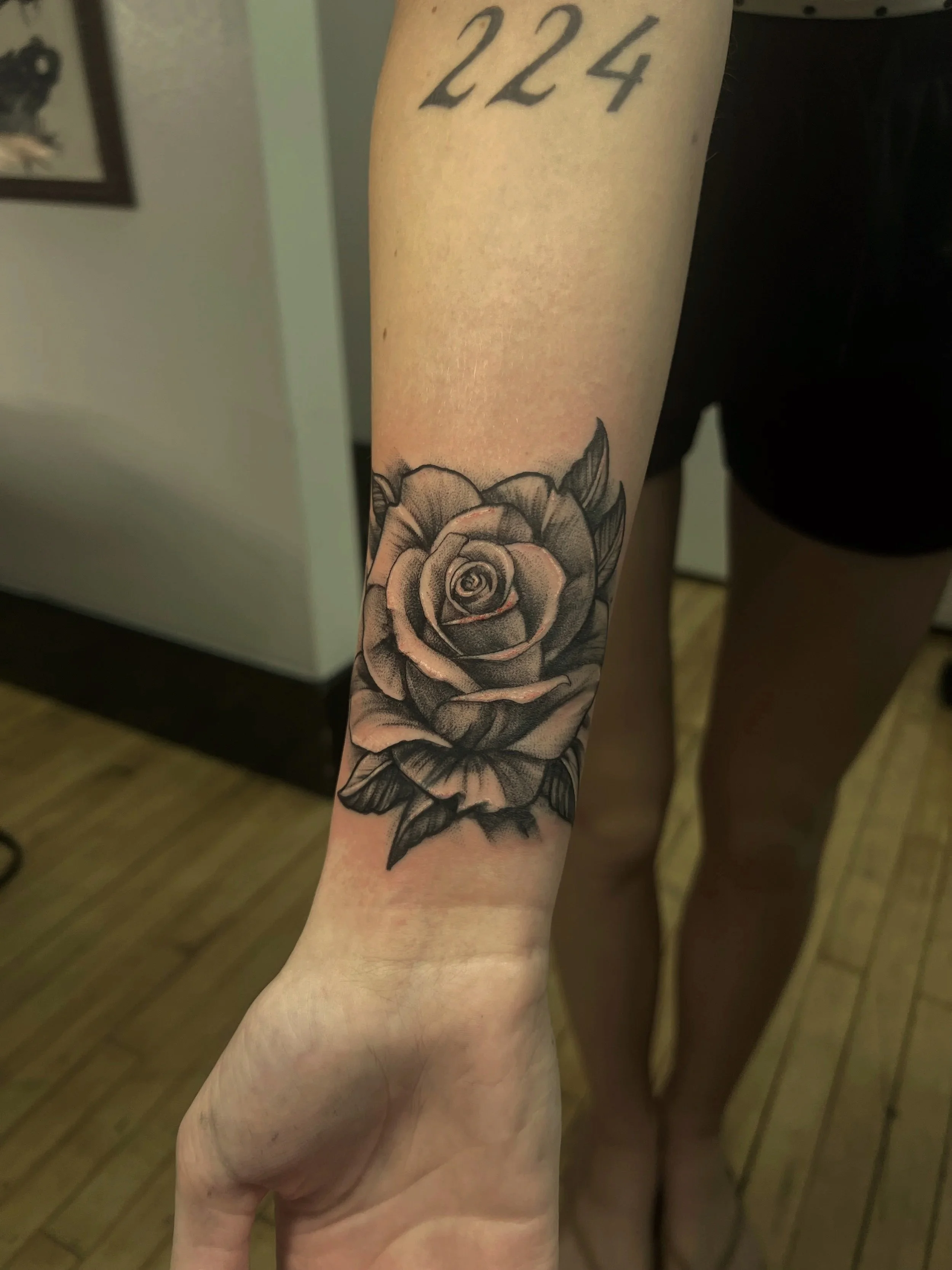A tattoo of a large blooming rose on a person's forearm, with the number '224' tattooed above in black ink.