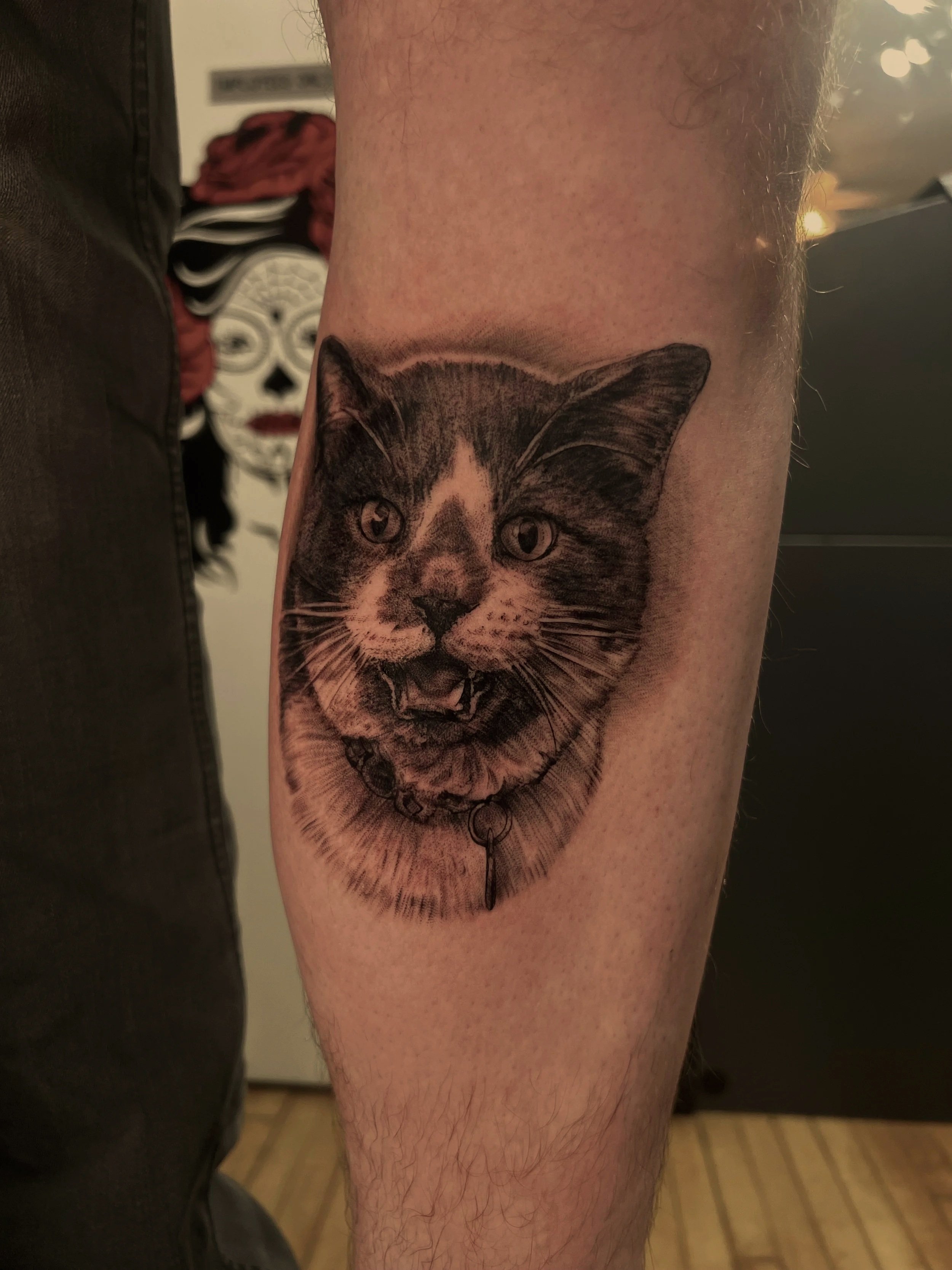 Tattoo of a realistic cat's face on a person's upper arm.
