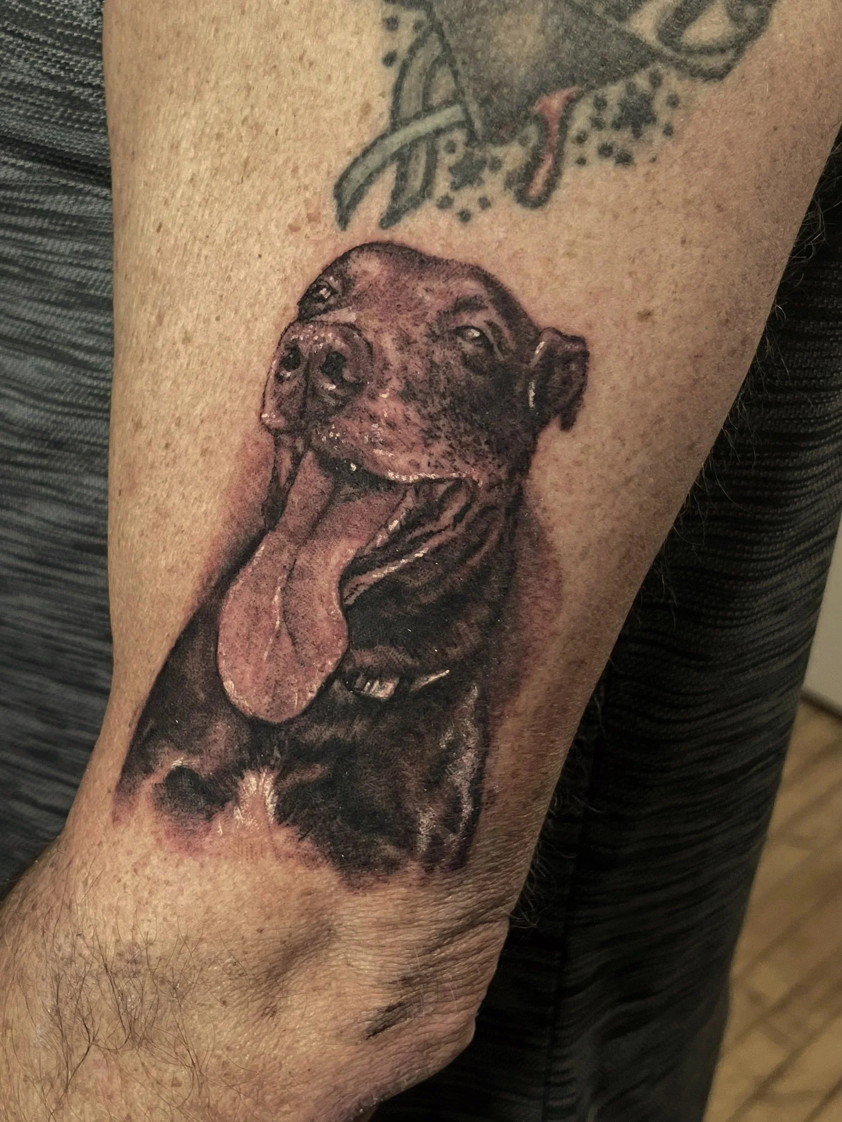 Tattoo of a dog's face with its tongue out on a person's arm.