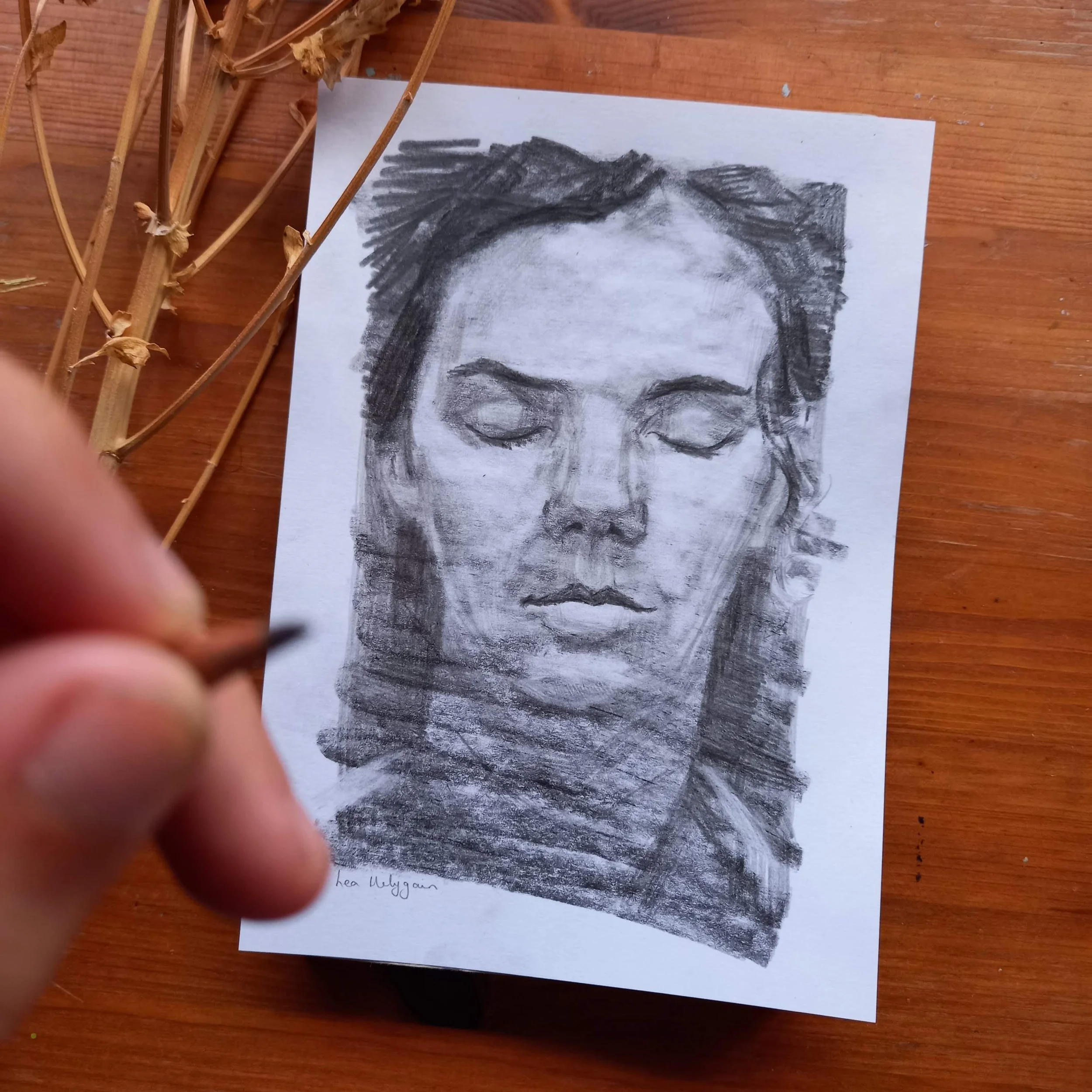 A pencil sketch of a man's face on white paper, placed on a wooden surface, with dried plant stems nearby.
