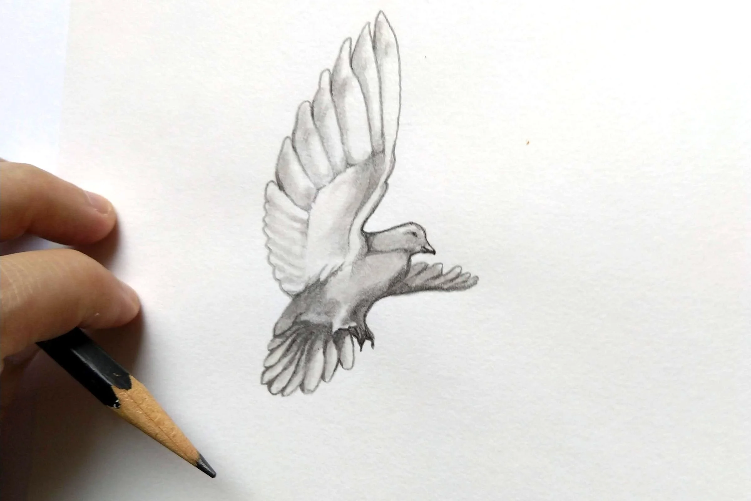 Dove Christian Drawing.jpg