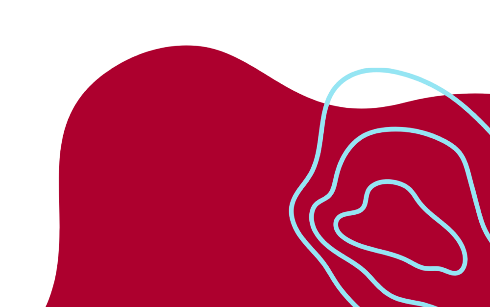Abstract red shape with blue outlines over it used as a brand element for the Colorado Children's Alliance.