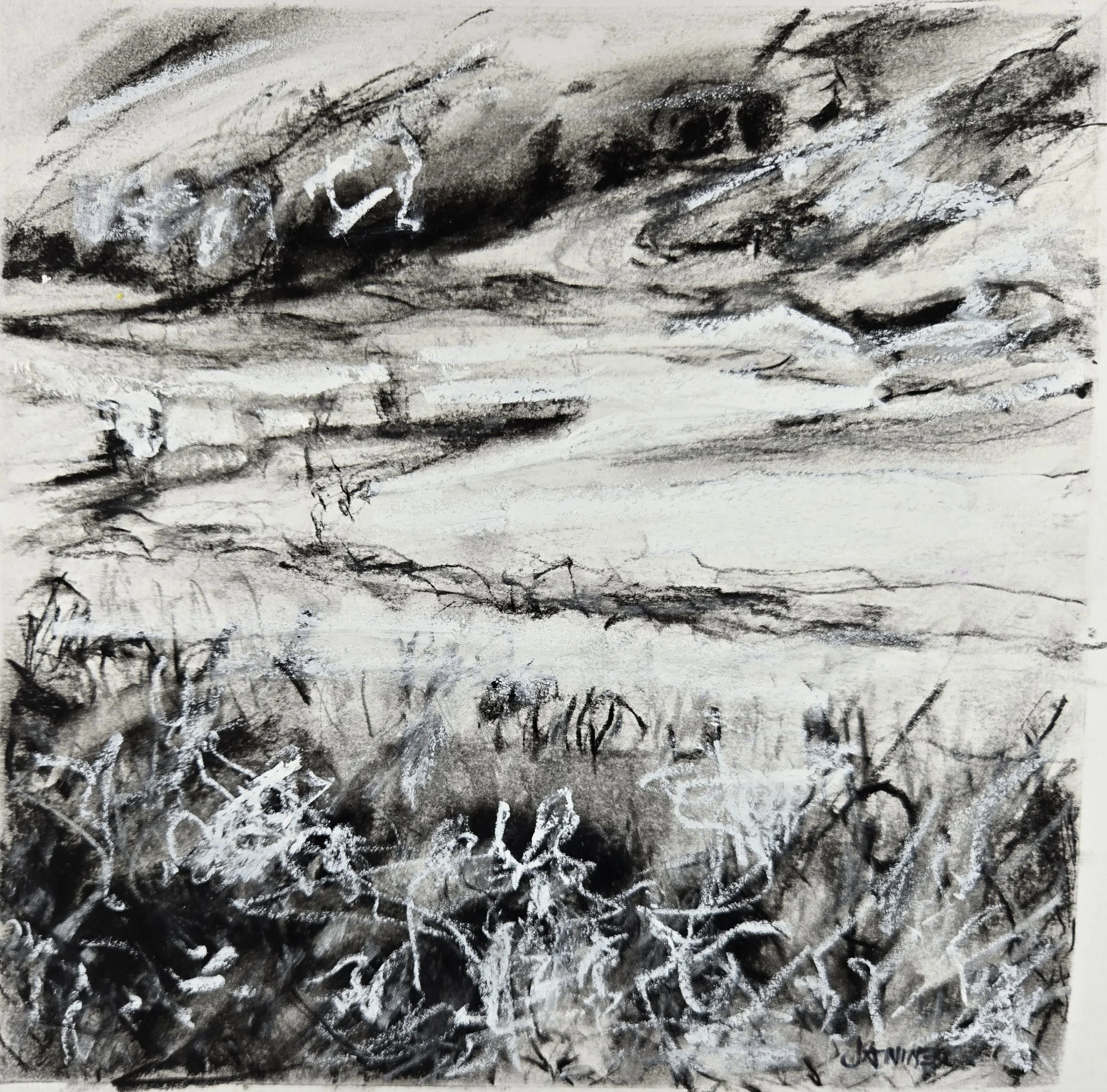 Black and White Study: The Sturgeon River presented as a monochrome landscape shaped by charcoal, texture, and expressive marks.