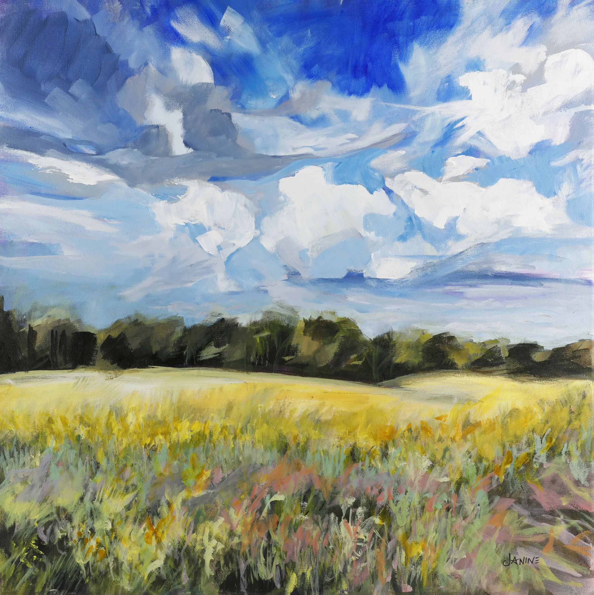 Prairie Hope: The textured layers of the grasses, wildflowers and yellow Prairie canola field with the distant blues and clouds heavy with rain, brings a sense of hope.  This work will bring the same sense of hope and peace to any living space it res