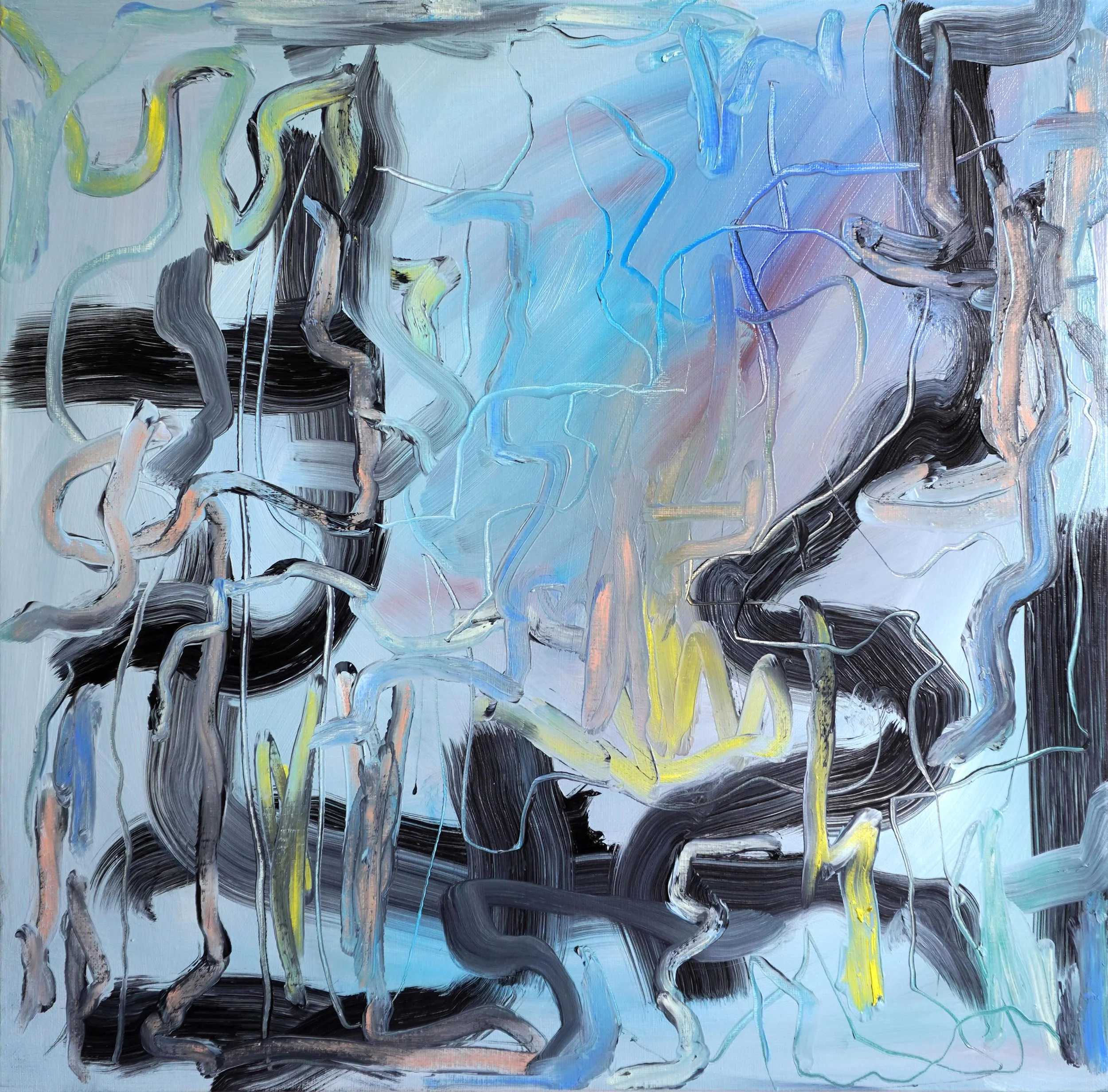 Sentient by Gedi Campbell, 50x50cm, abstract painting in oil paint and oil stick on canvas from the Unbound series. Features scraped palette knife marks and fluid gestures.