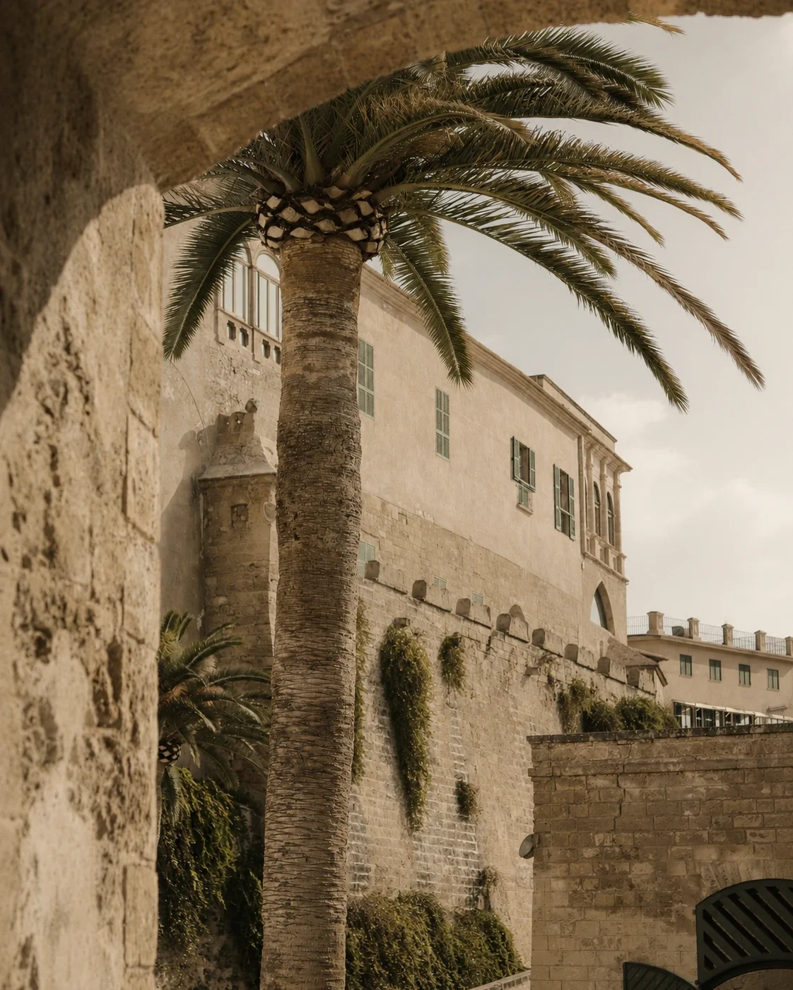 A tall palm tree in front of an old stone building with green shutters and arched windows, captured during daylight.