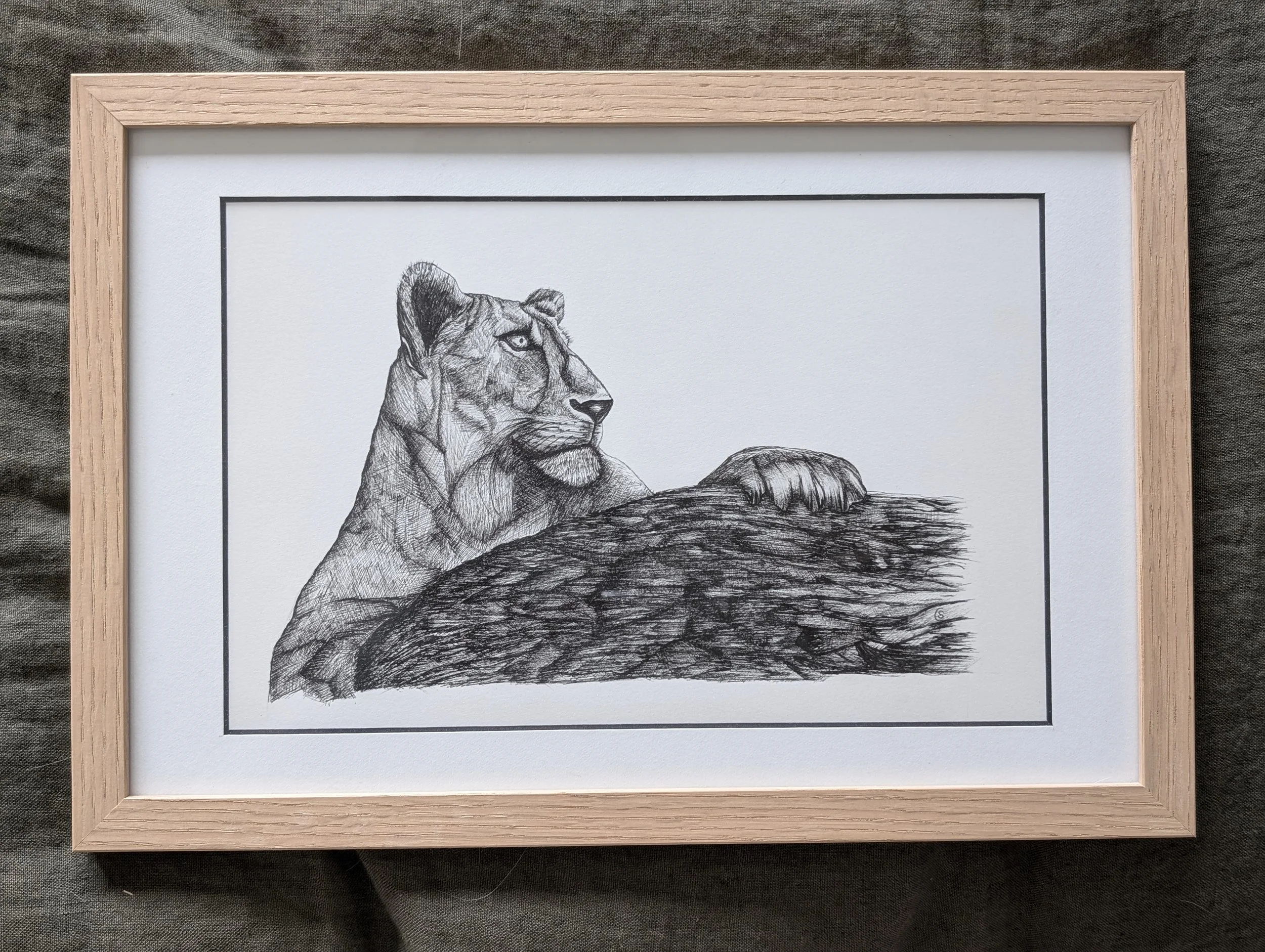 Lionne - original